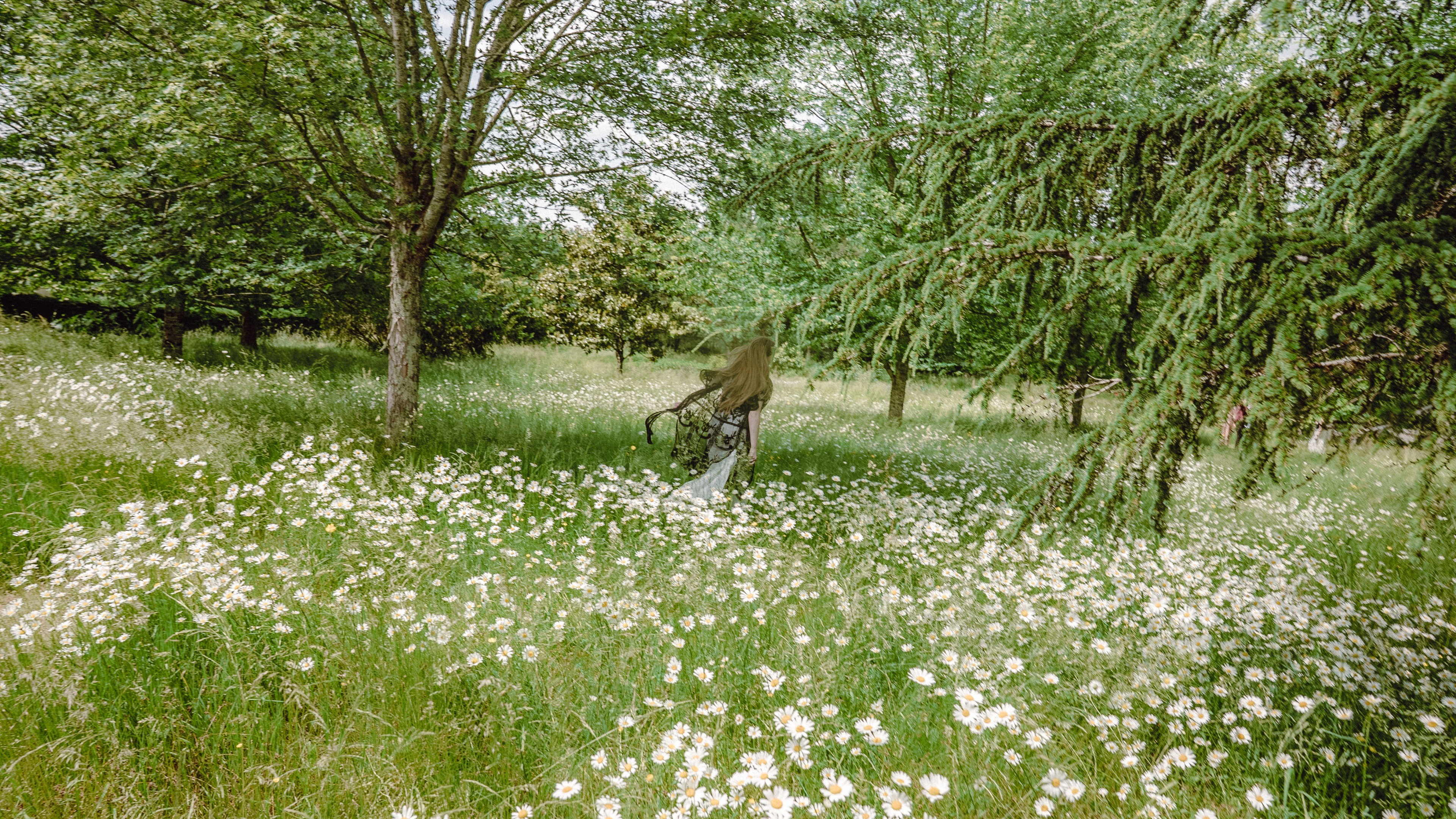 - image: 14