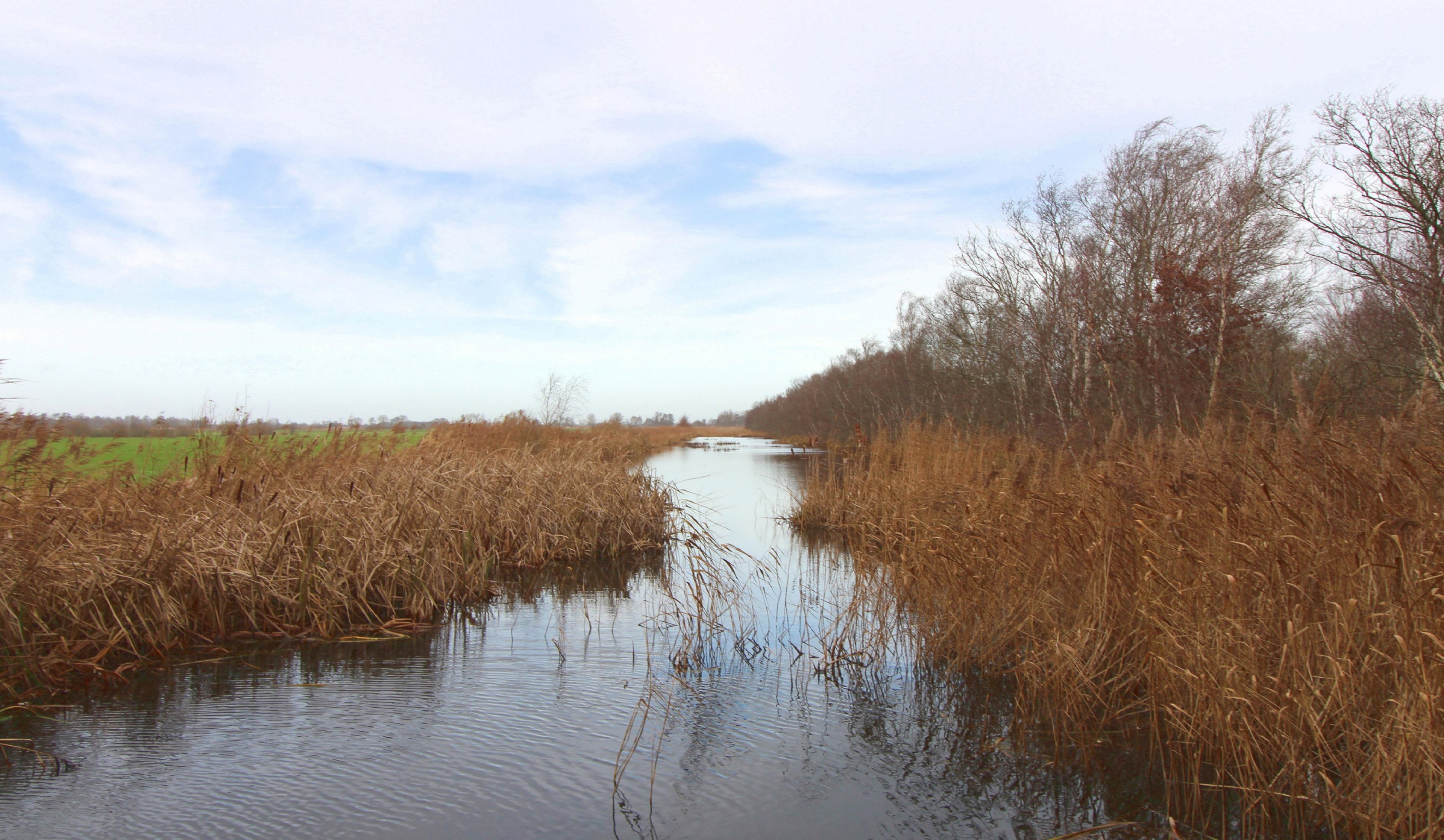 Natuurhuisje in De Veenhoop