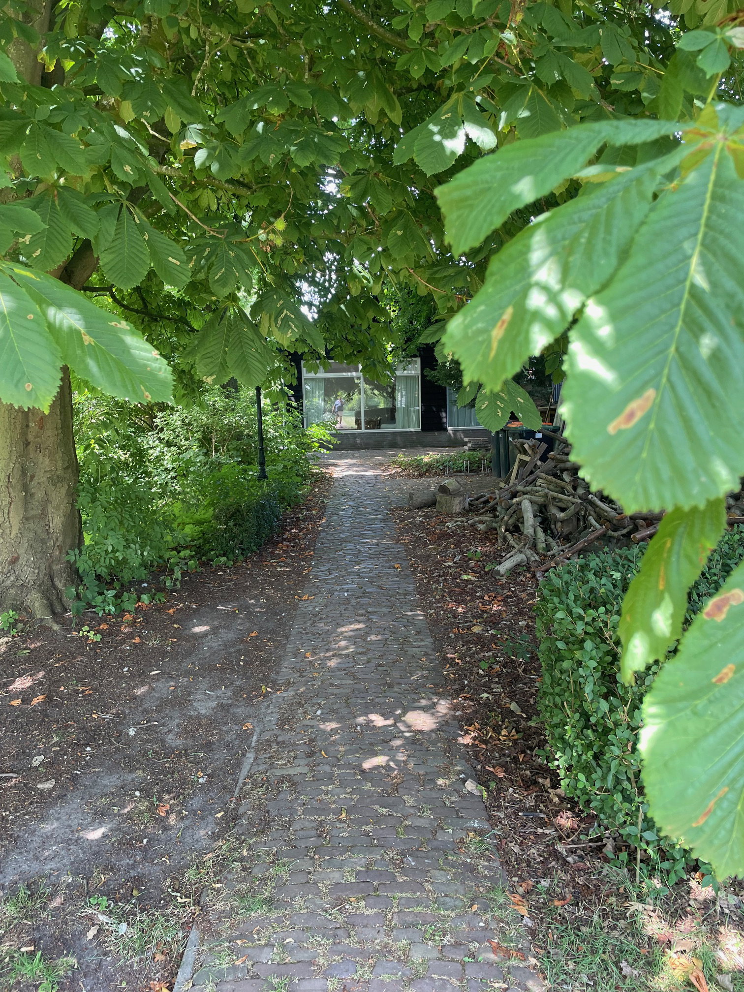 Naturhäuschen in Andijk