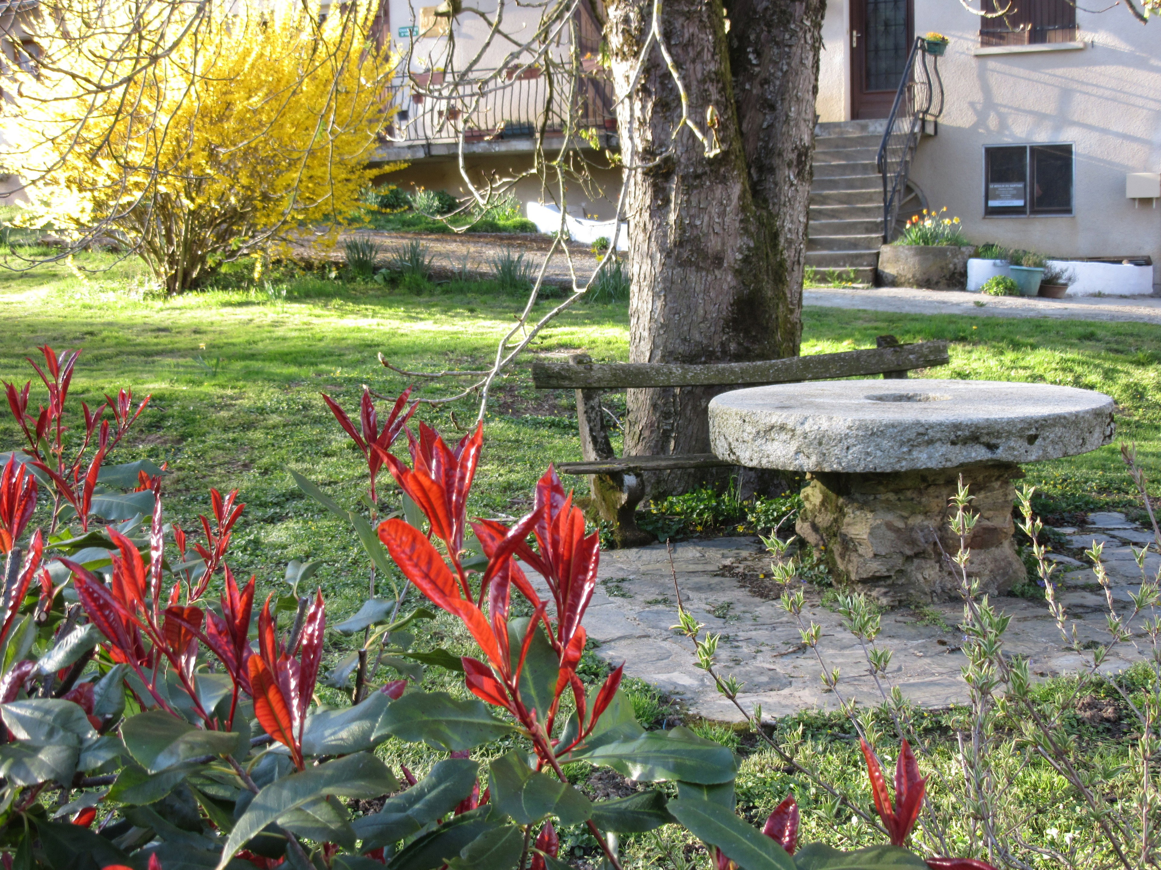 Natuurhuisje in Montredon-Labessonnié