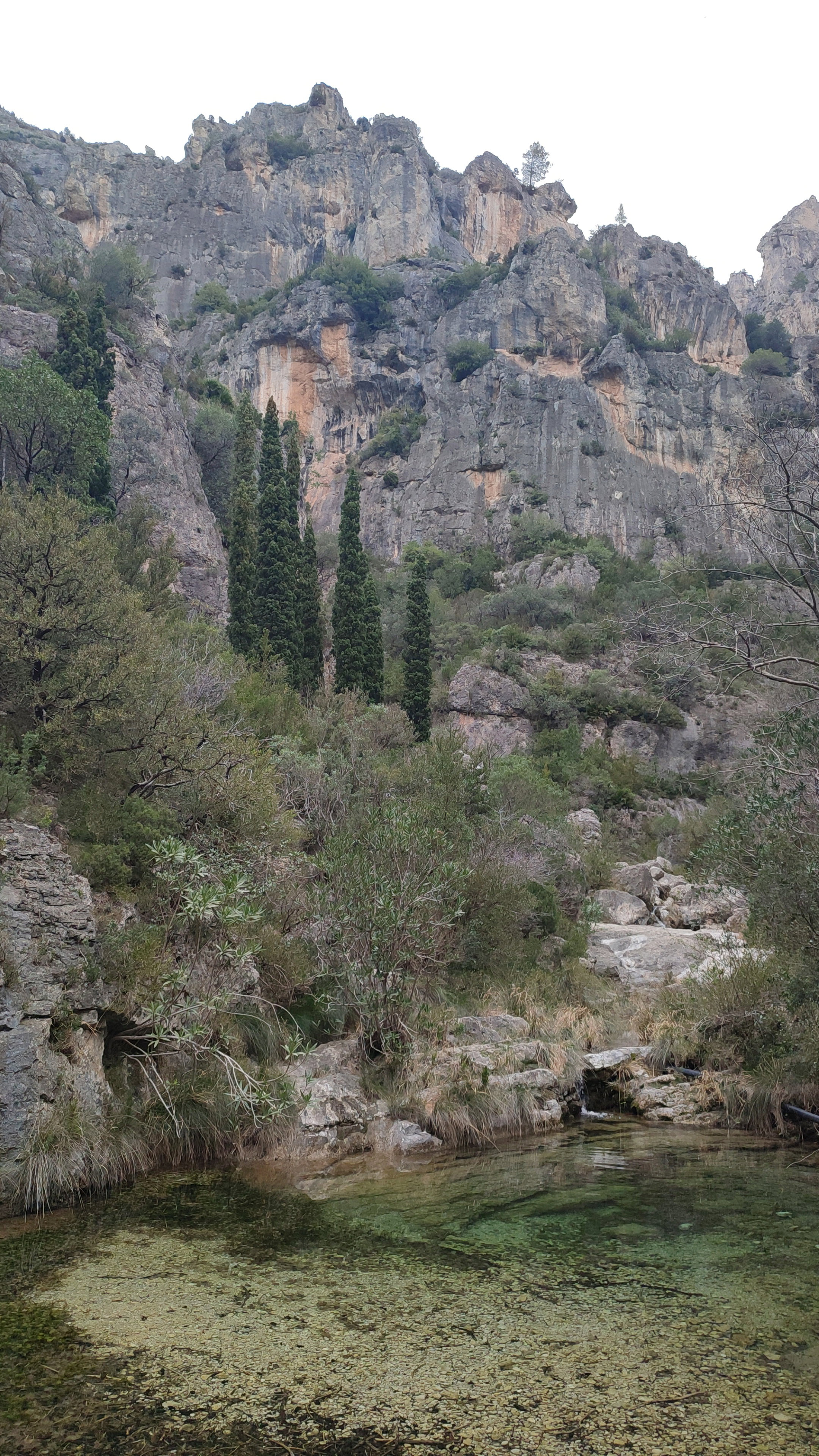 - image: 26