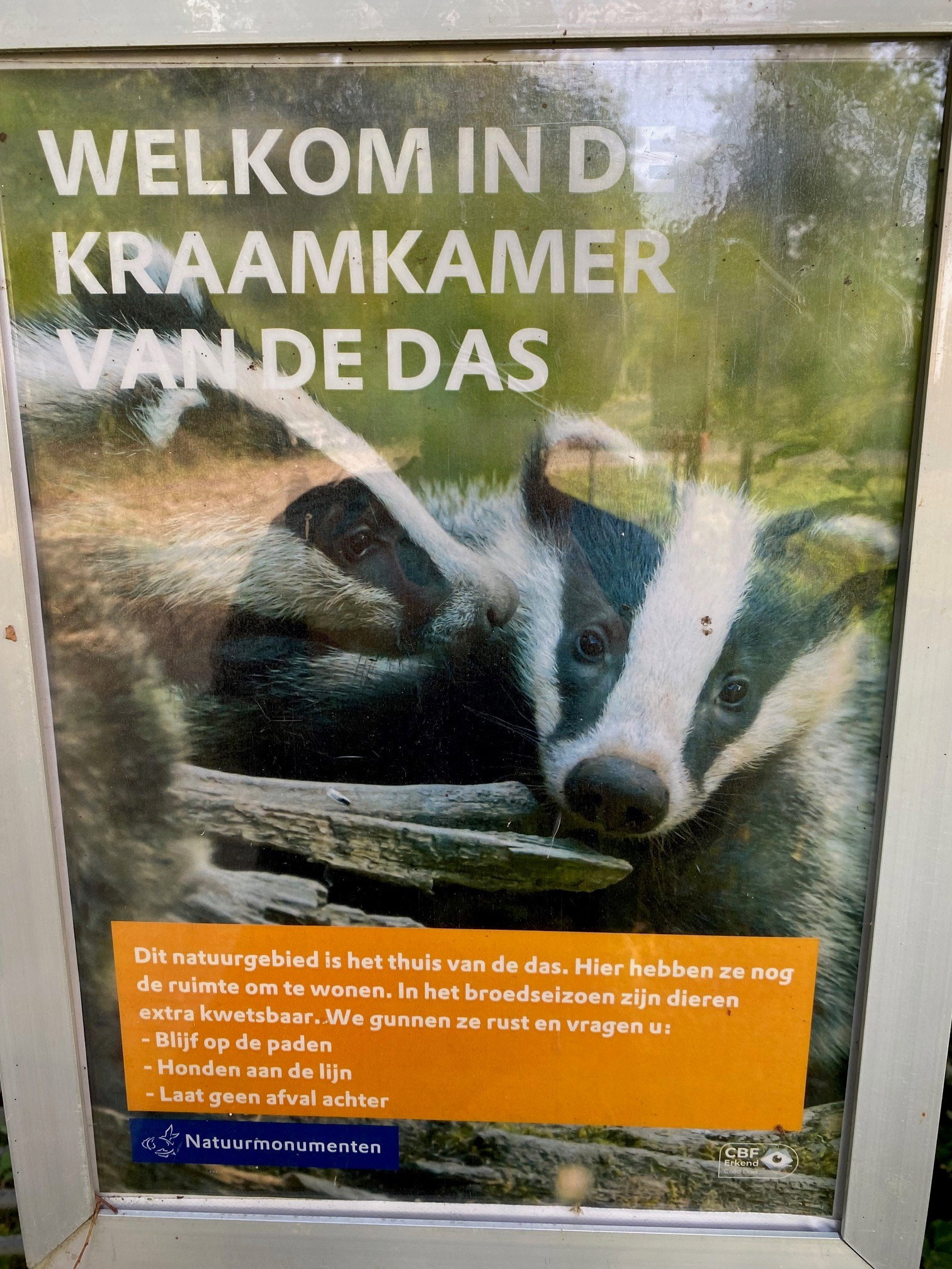 - image: 26