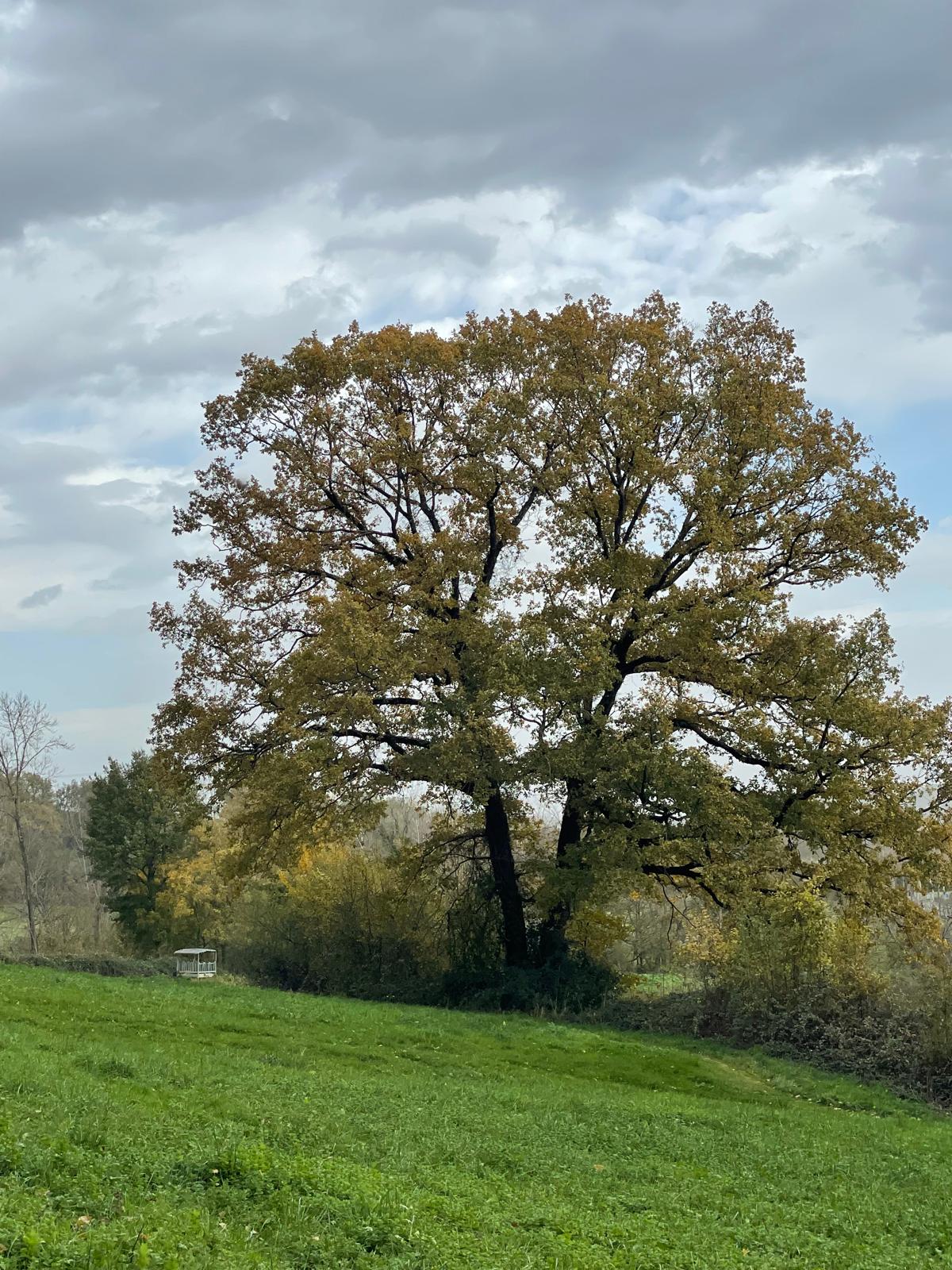 Natuurhuisje in Larroque