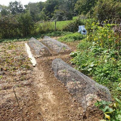 Natuurhuisje in Larroque