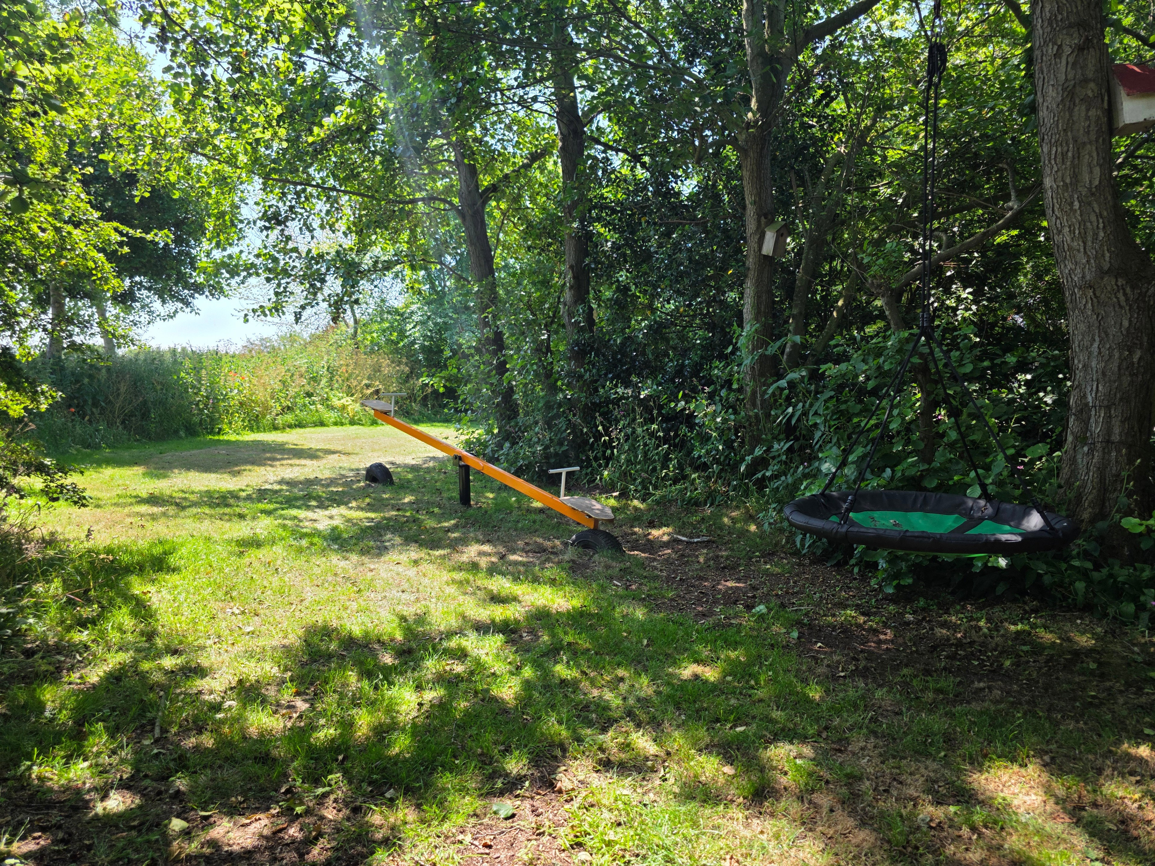 - image: 23