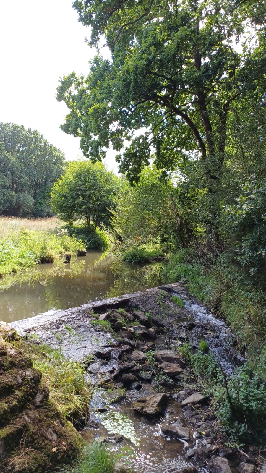Maison nature à Plédran
