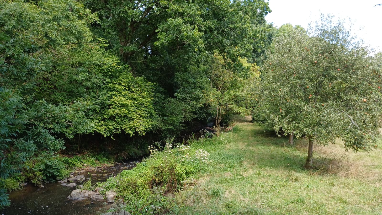 Maison nature à Plédran