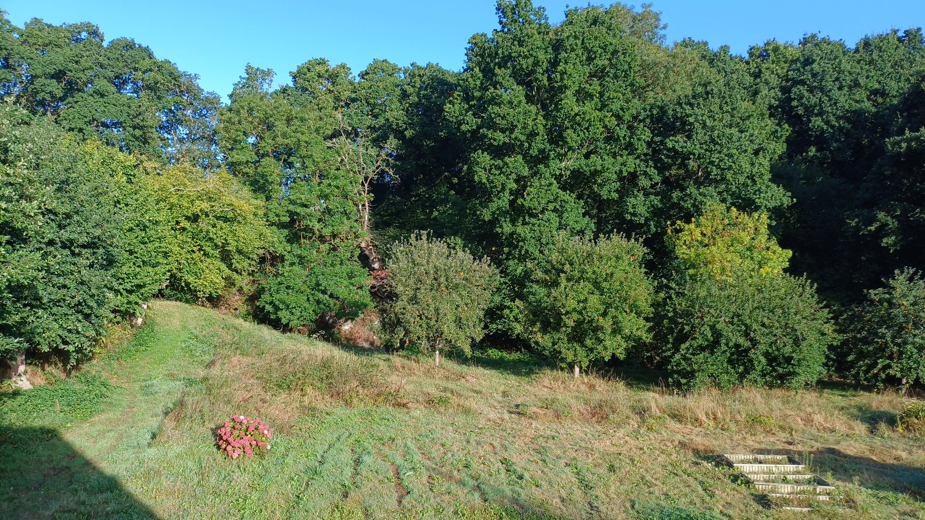 Maison nature à Plédran