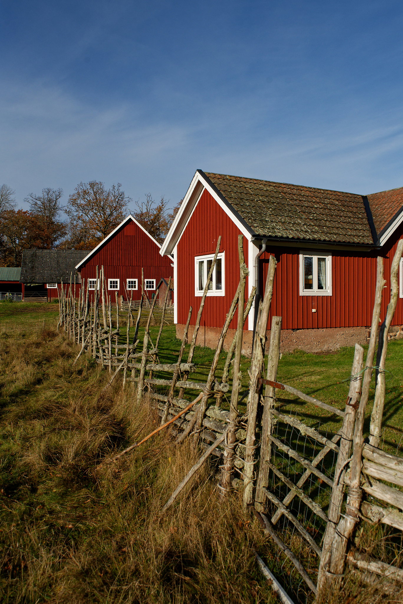 - image: 29