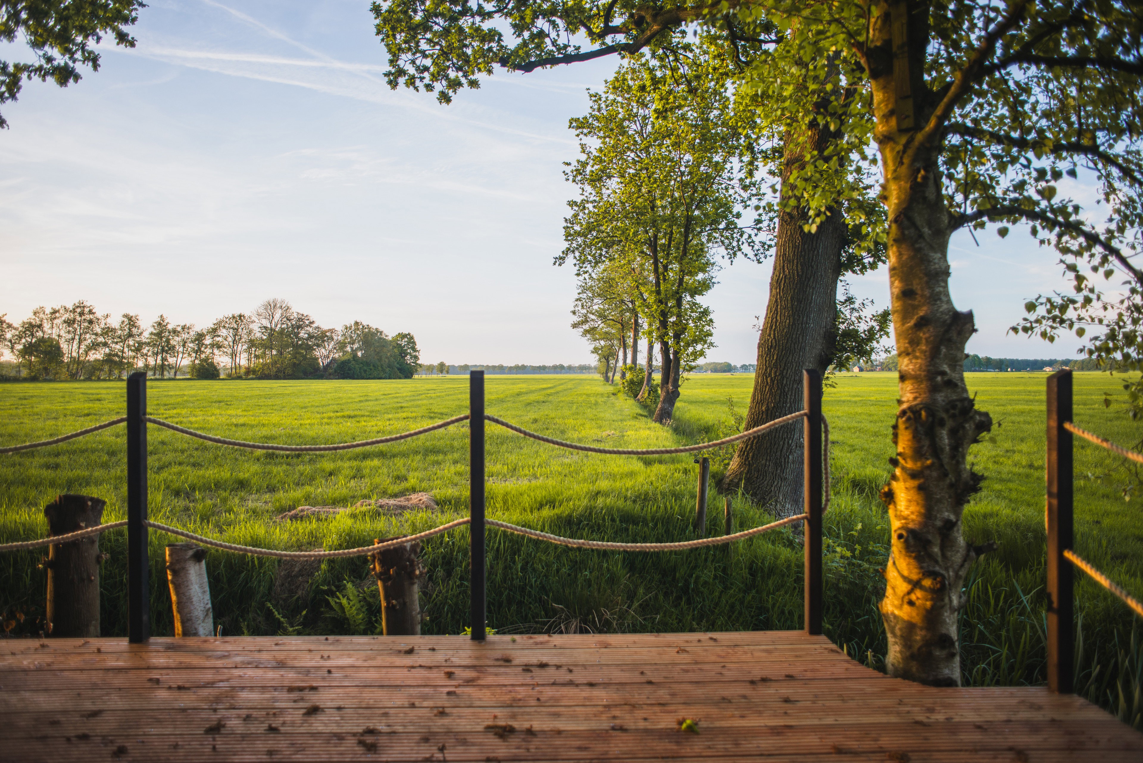 Maison nature à Waskemeer