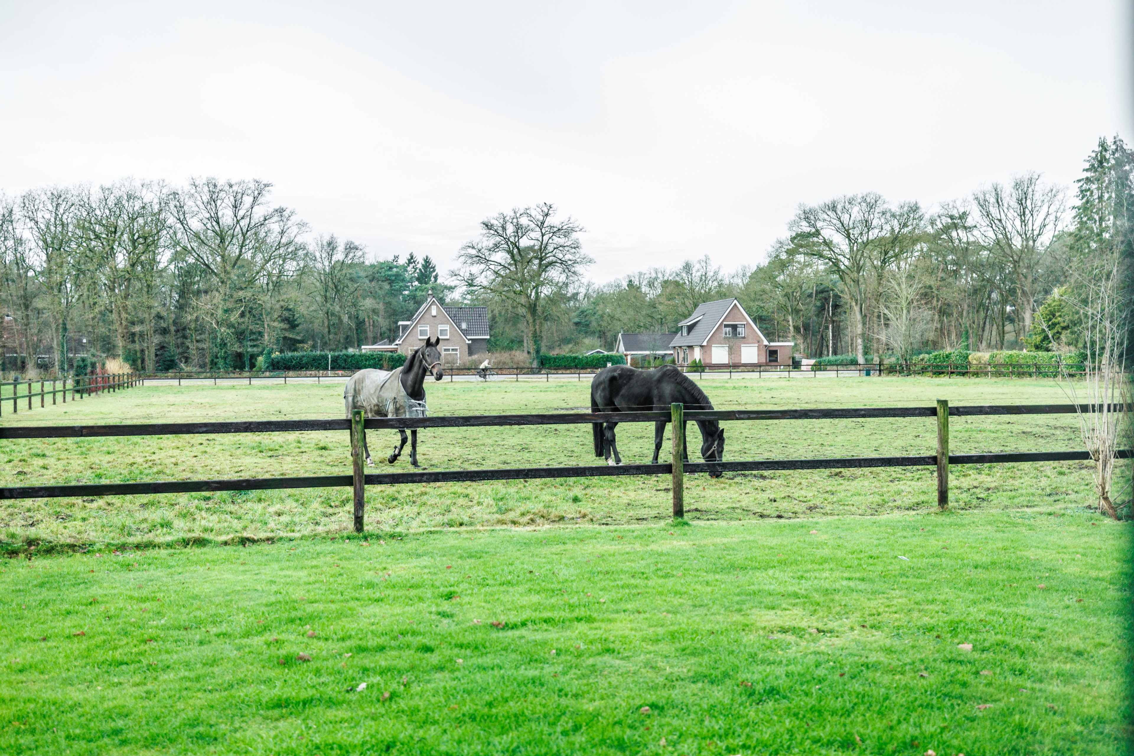Natuurhuisje in Hellendoorn