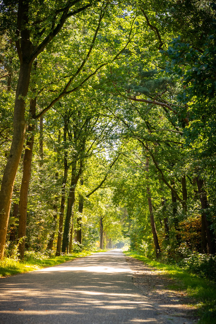 Natuurhuisje in Hellendoorn
