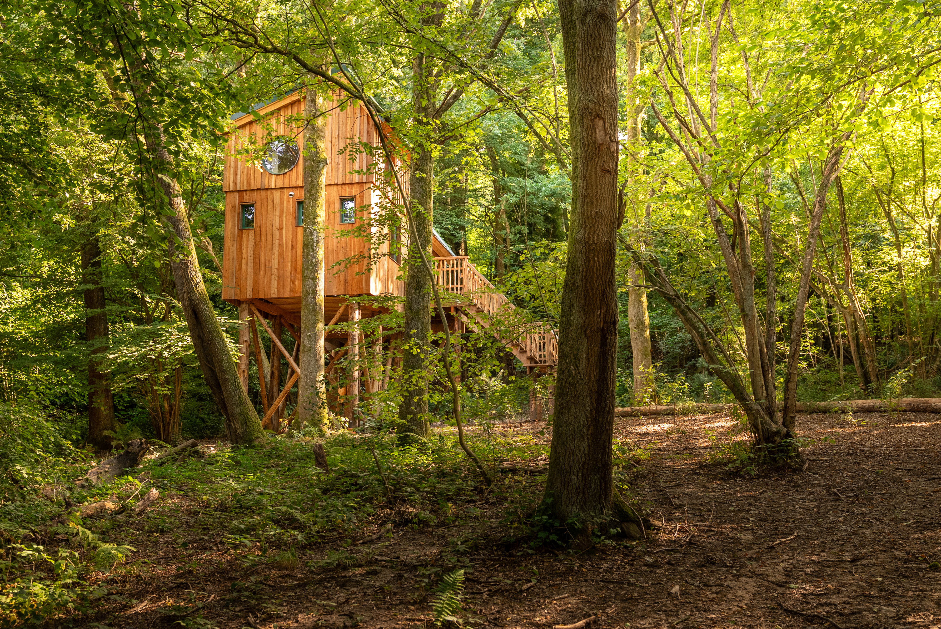 Natuurhuisje in Profondeville