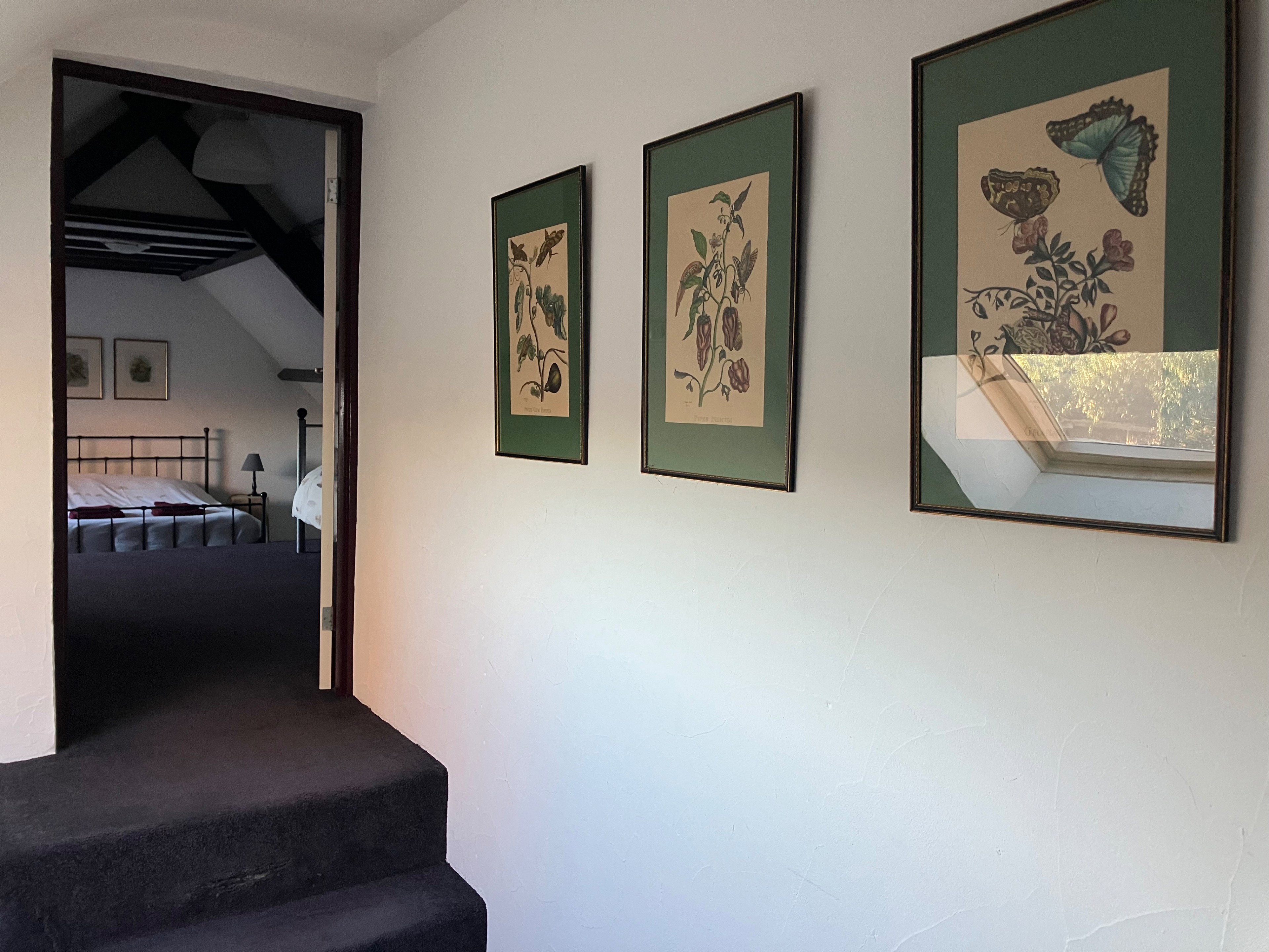 - image: 13
