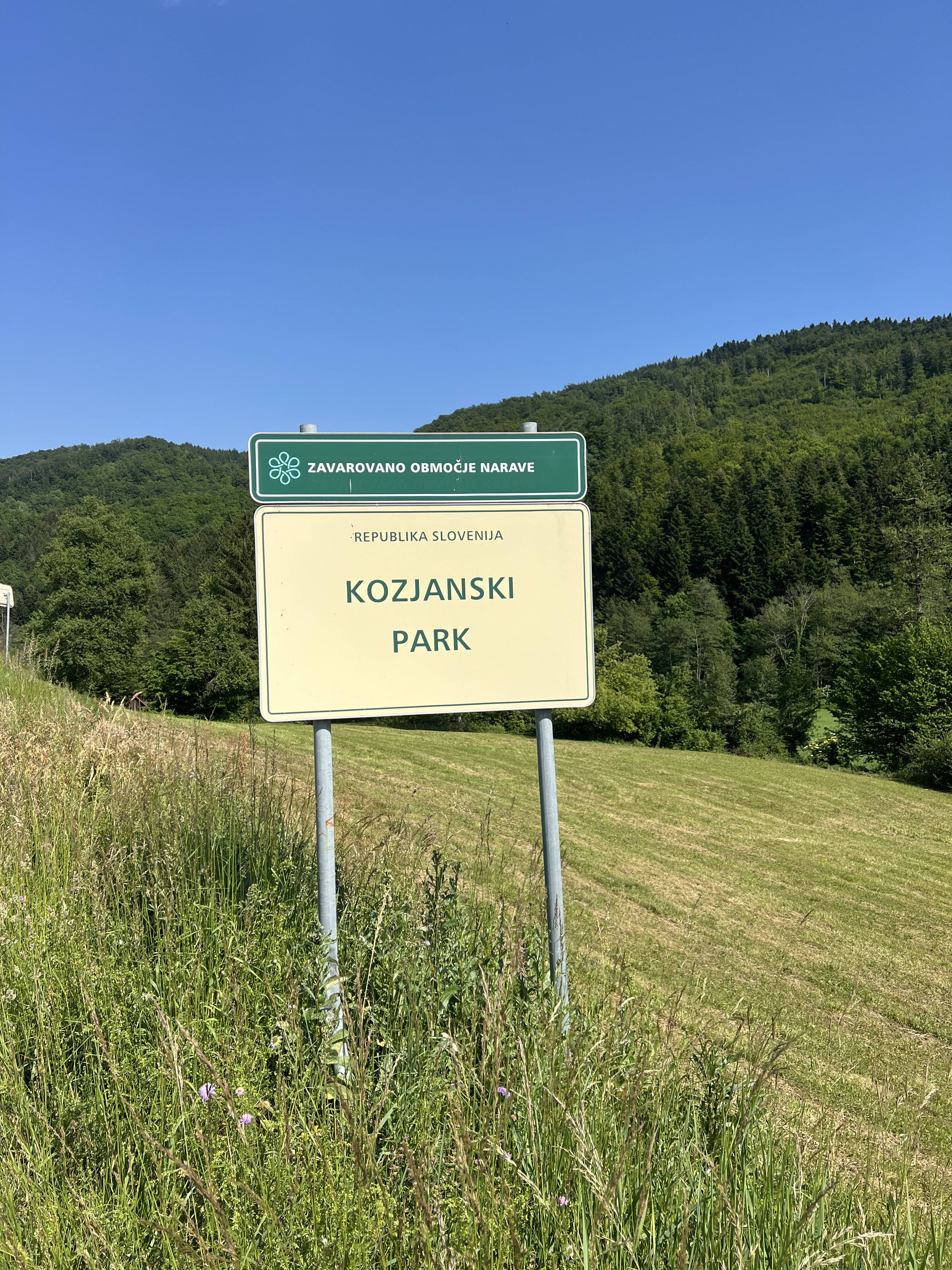 - image: 25