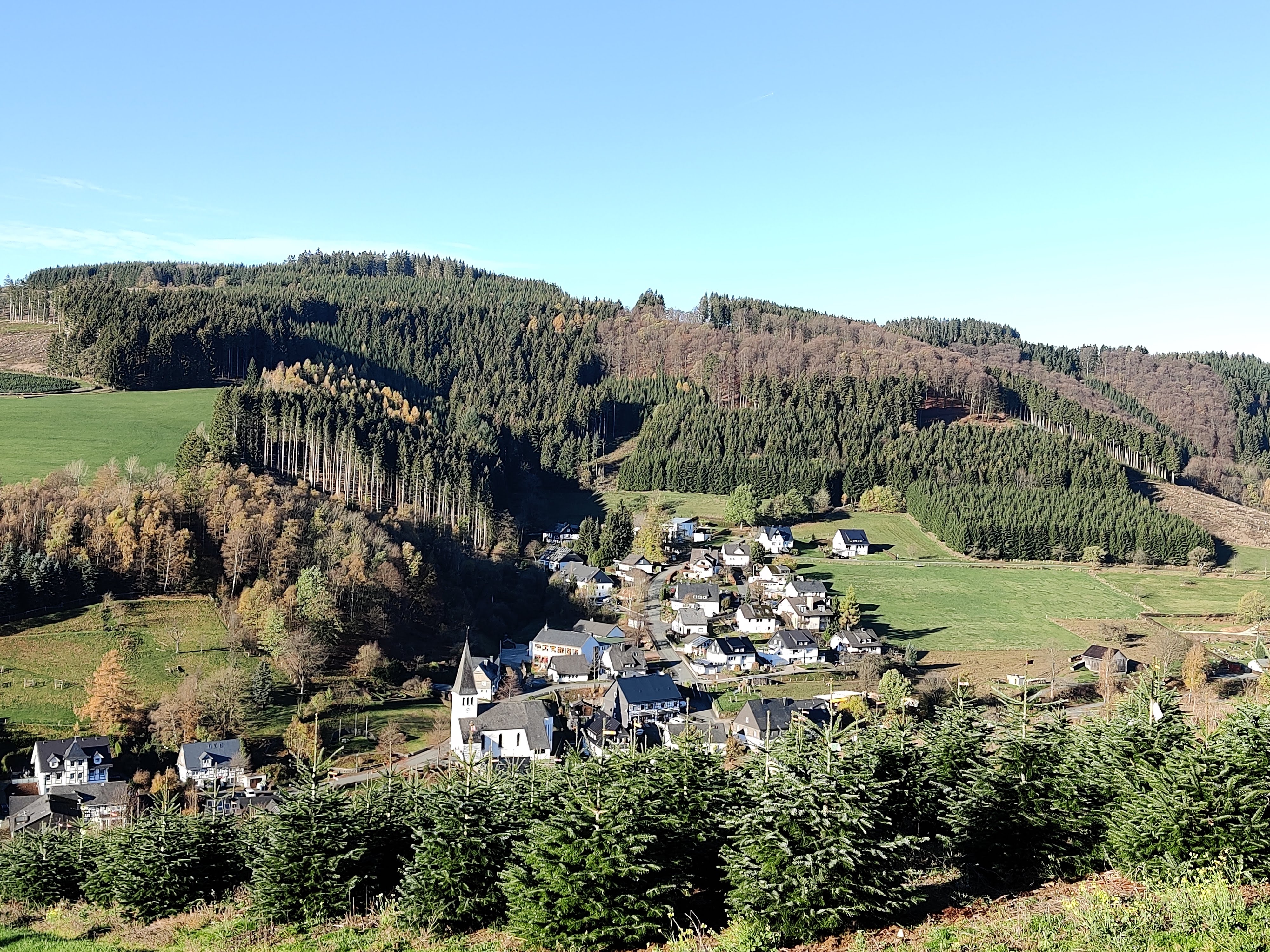 Natuurhuisje in Olsberg-Elpe