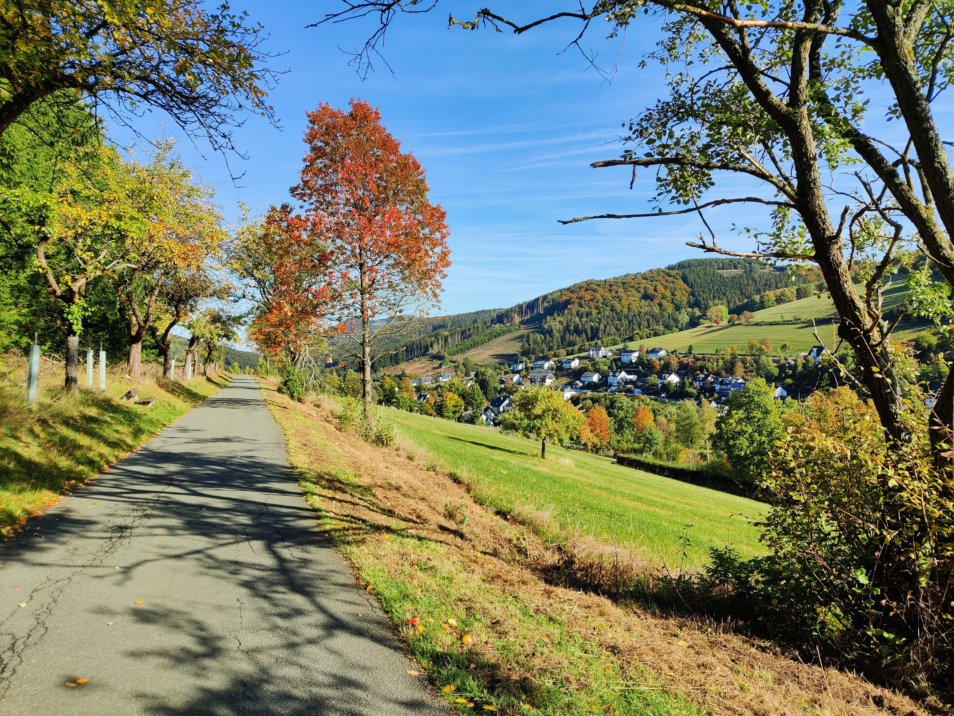Natuurhuisje in Olsberg-Elpe