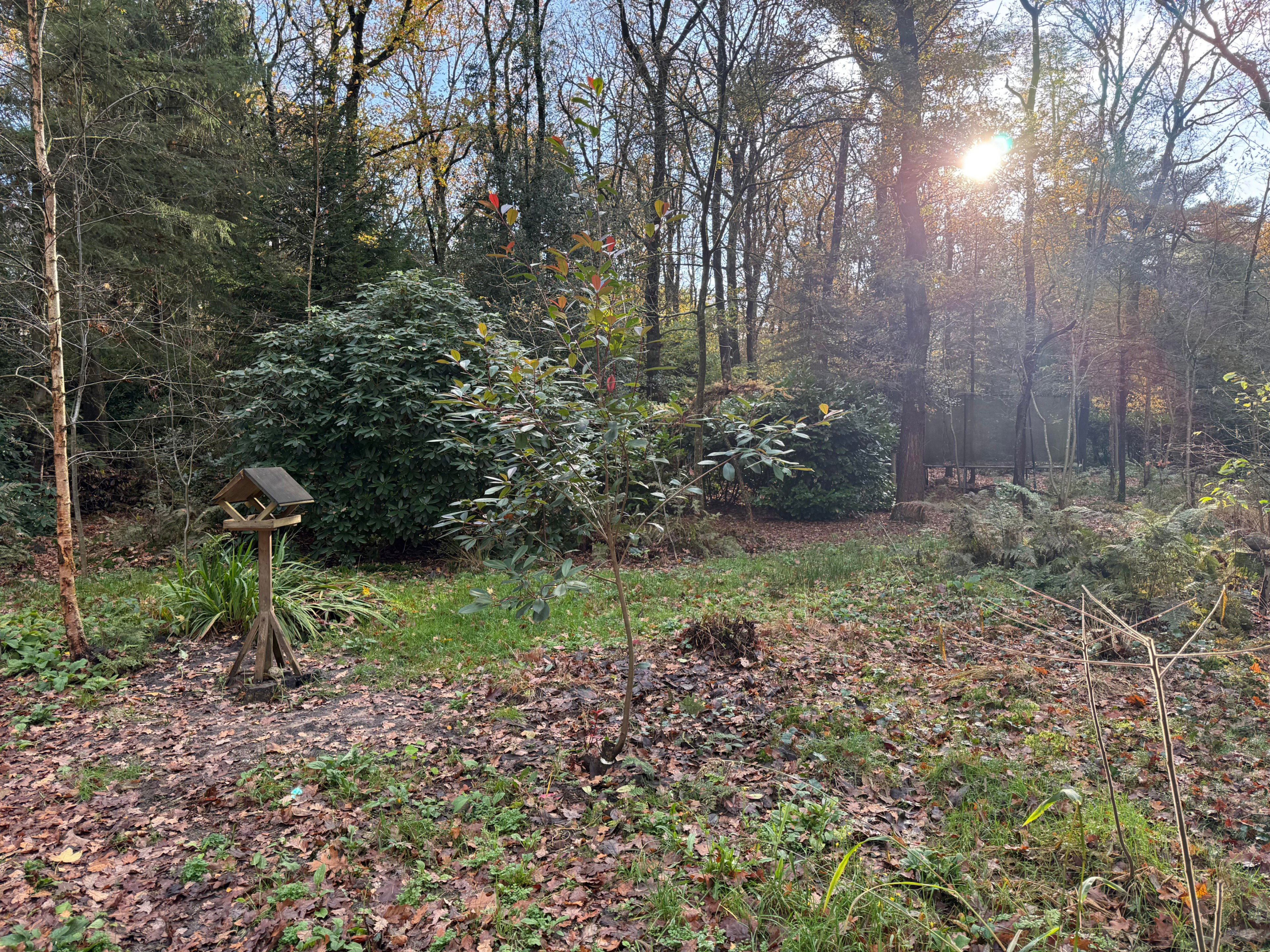 Natuurhuisje in Wateren (Westerveld)