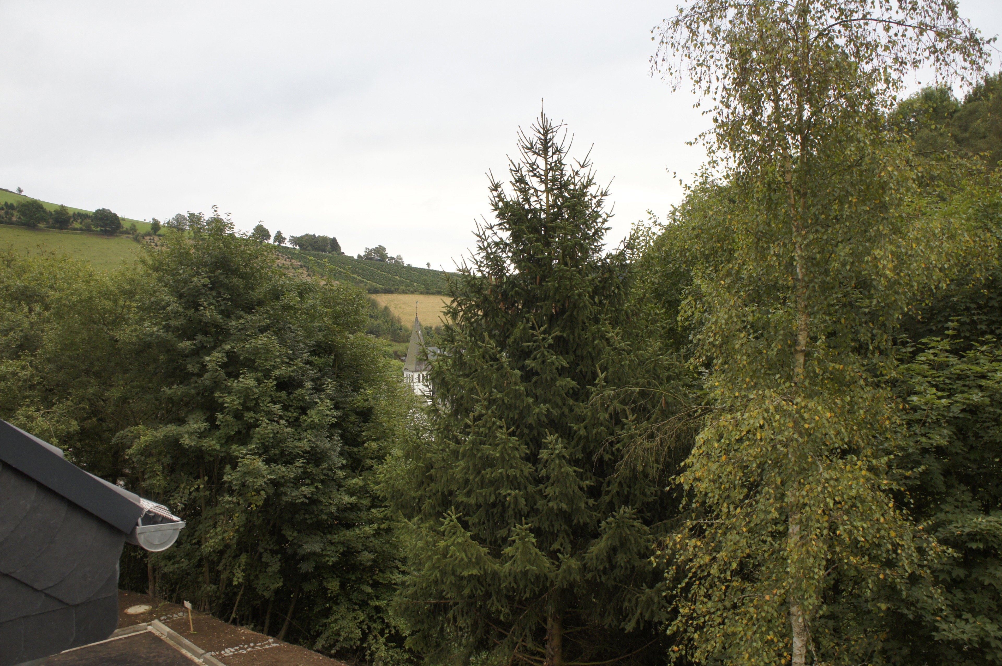 Natuurhuisje in Olsberg-Elpe