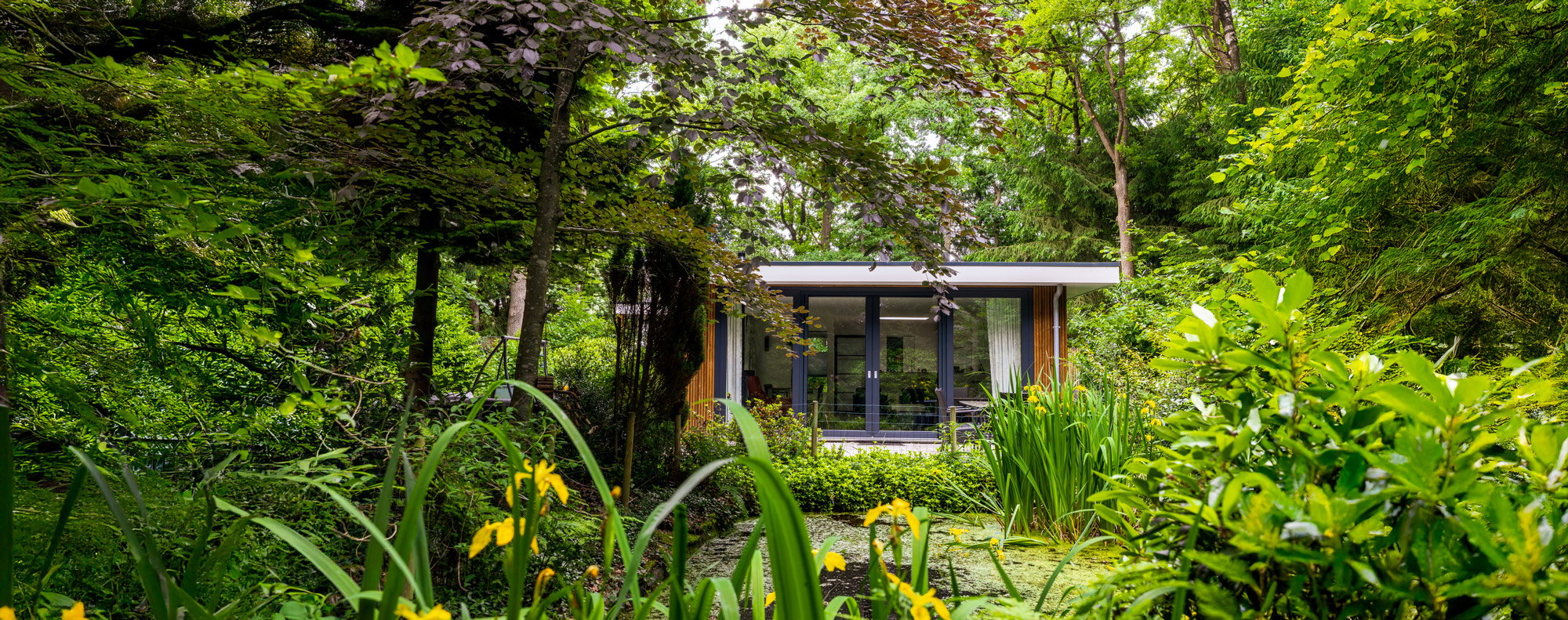 Casa nella natura a Wateren (Westerveld)