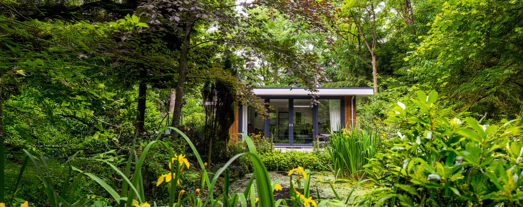 Maison nature à Wateren (Westerveld)