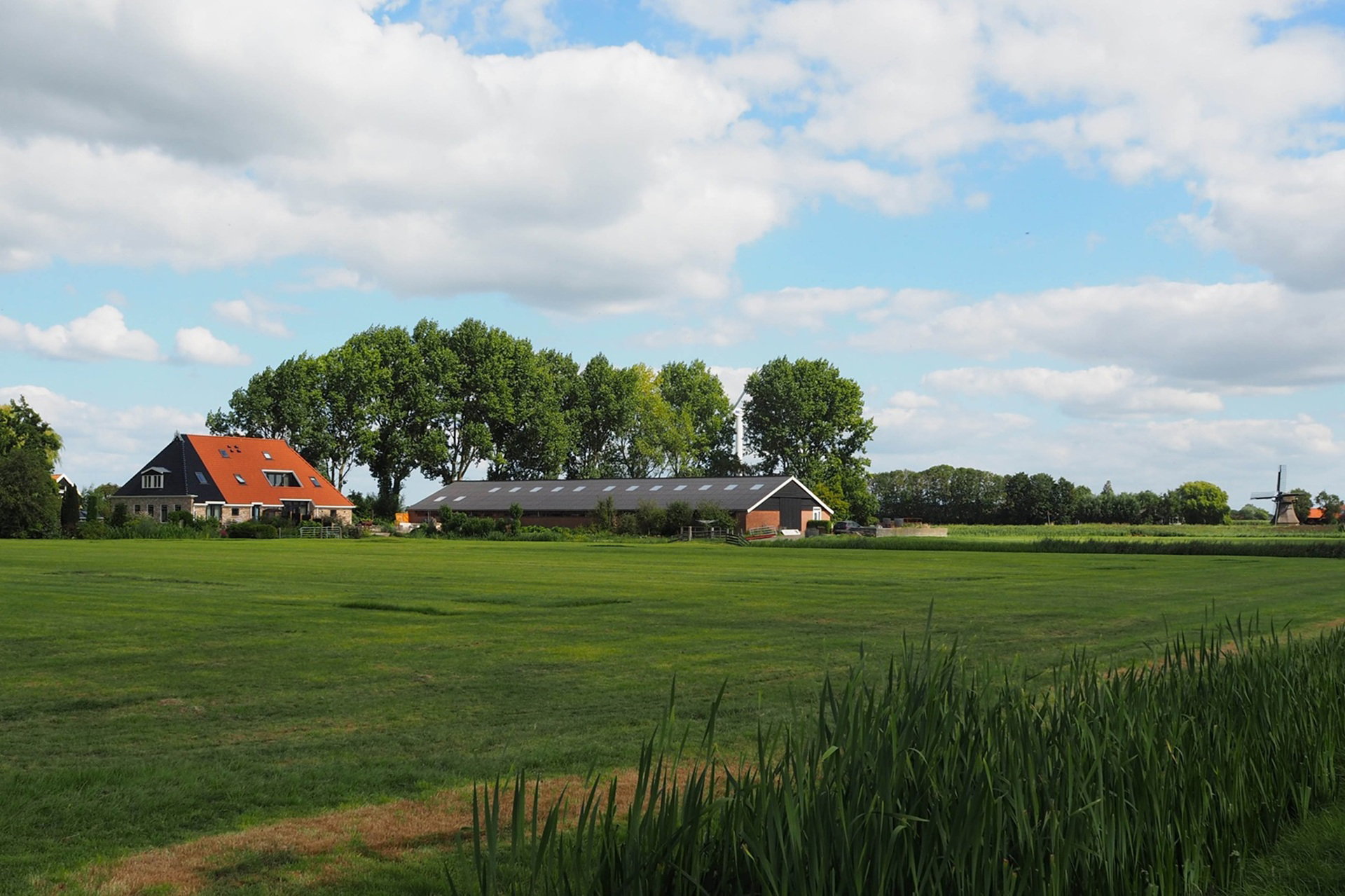 Natuurhuisje in It Heidenskip