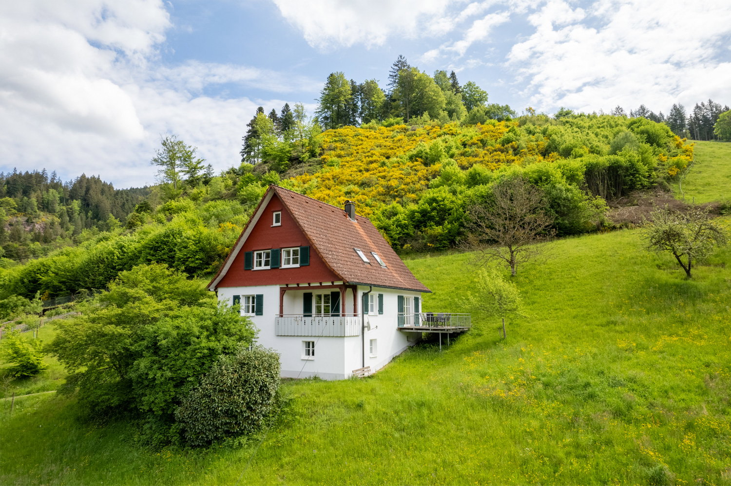 Casa nella natura a Schenkenzell