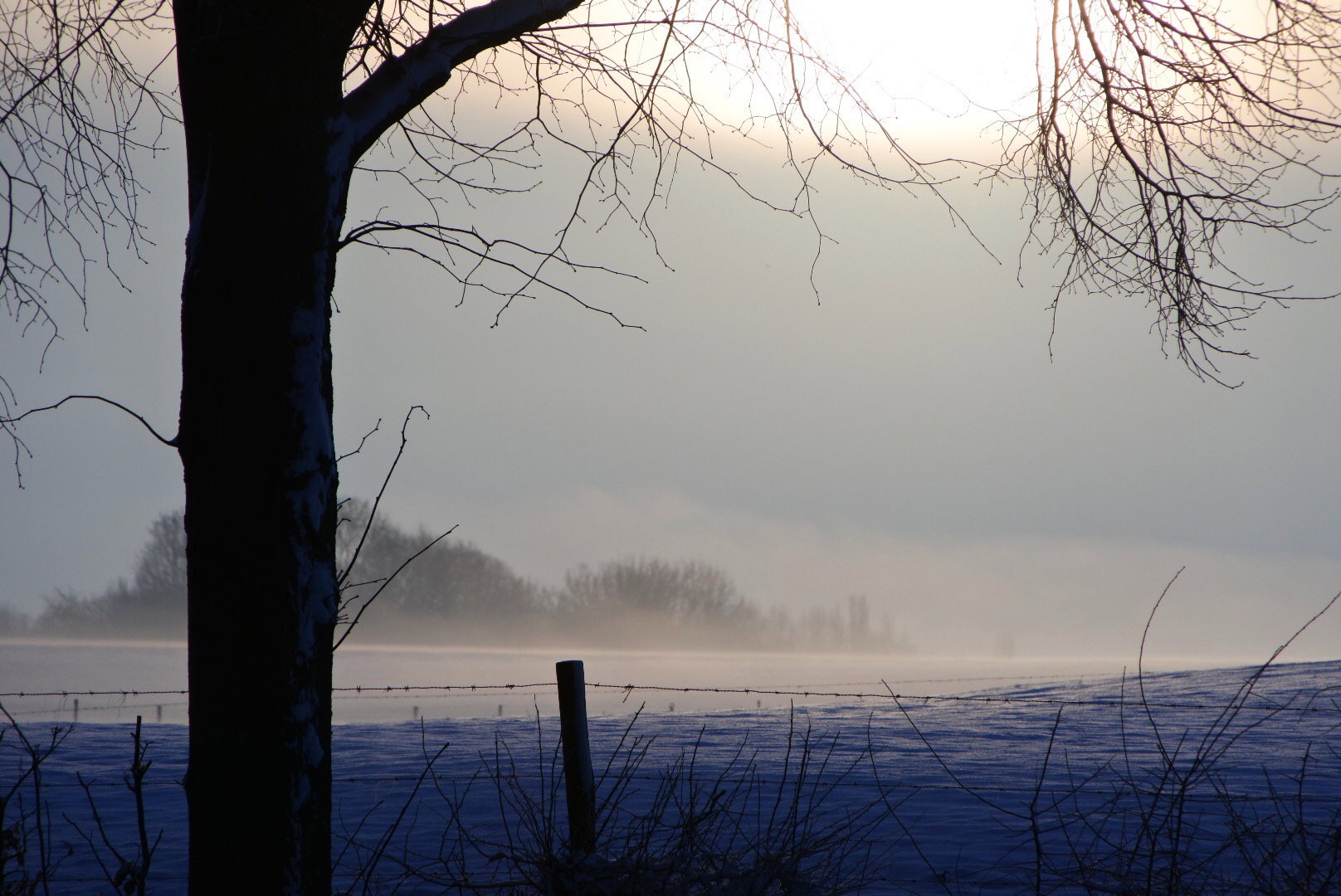 - image: 23