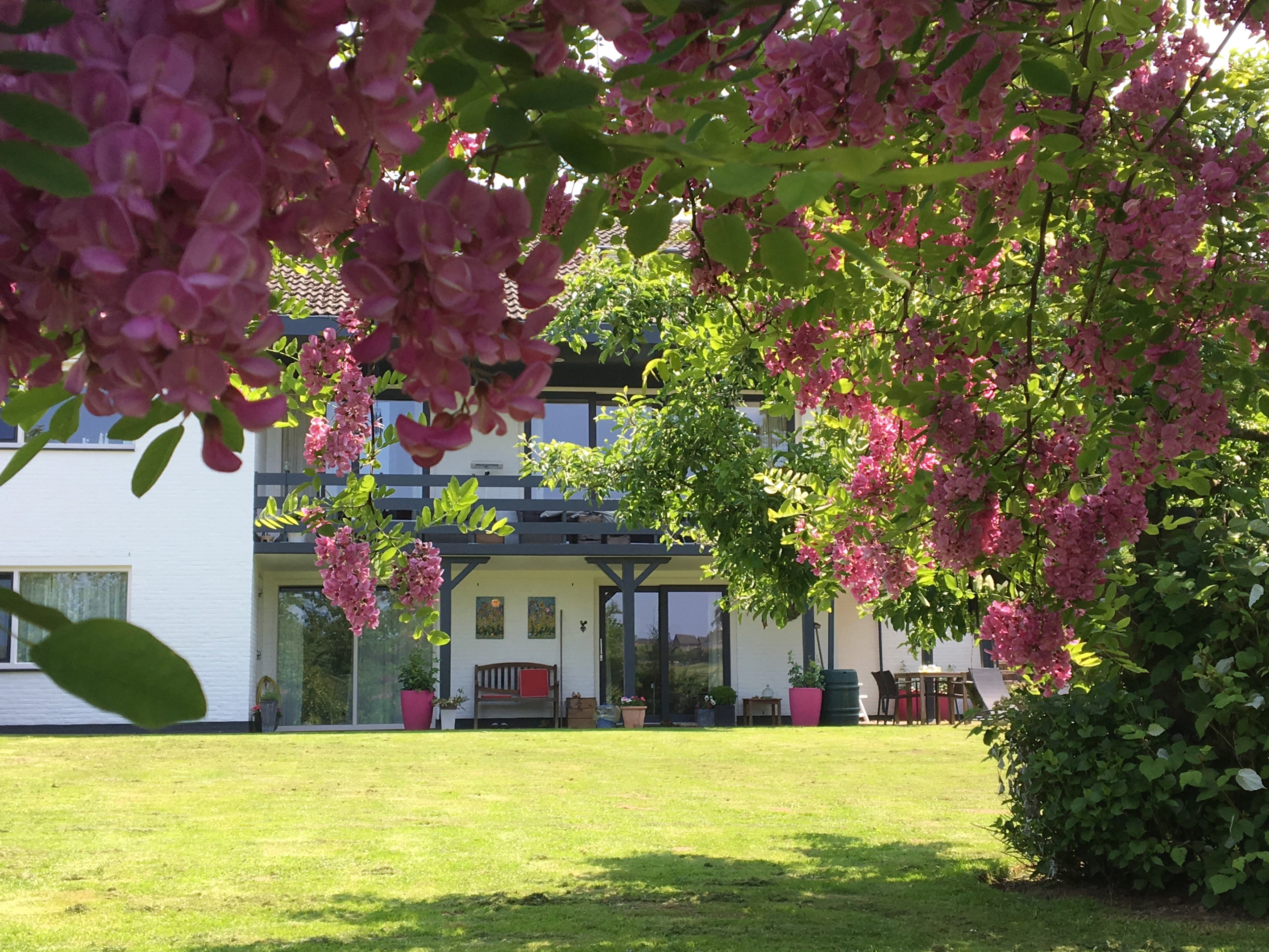 Casa nella natura a Banholt