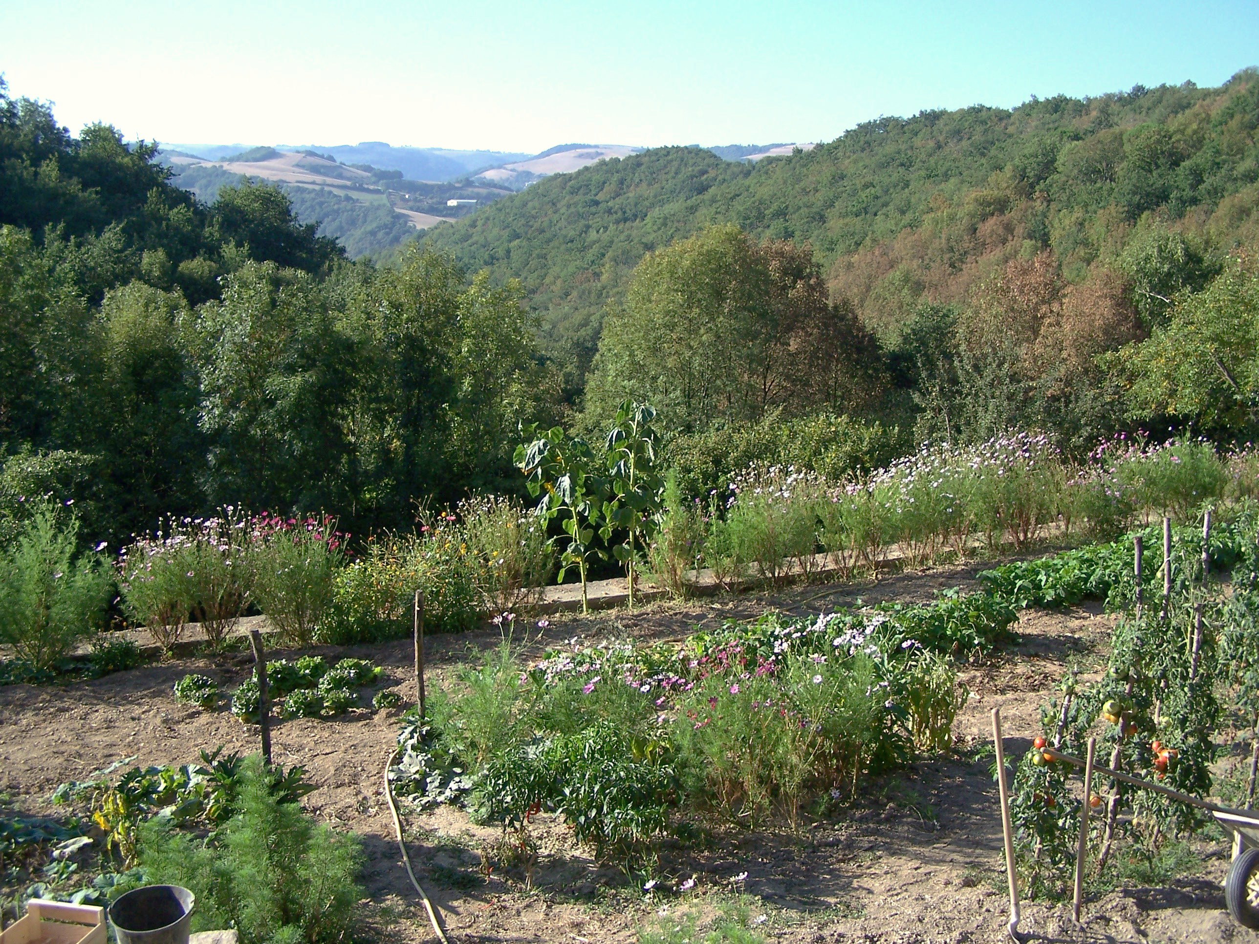 Natuurhuisje in Cadix