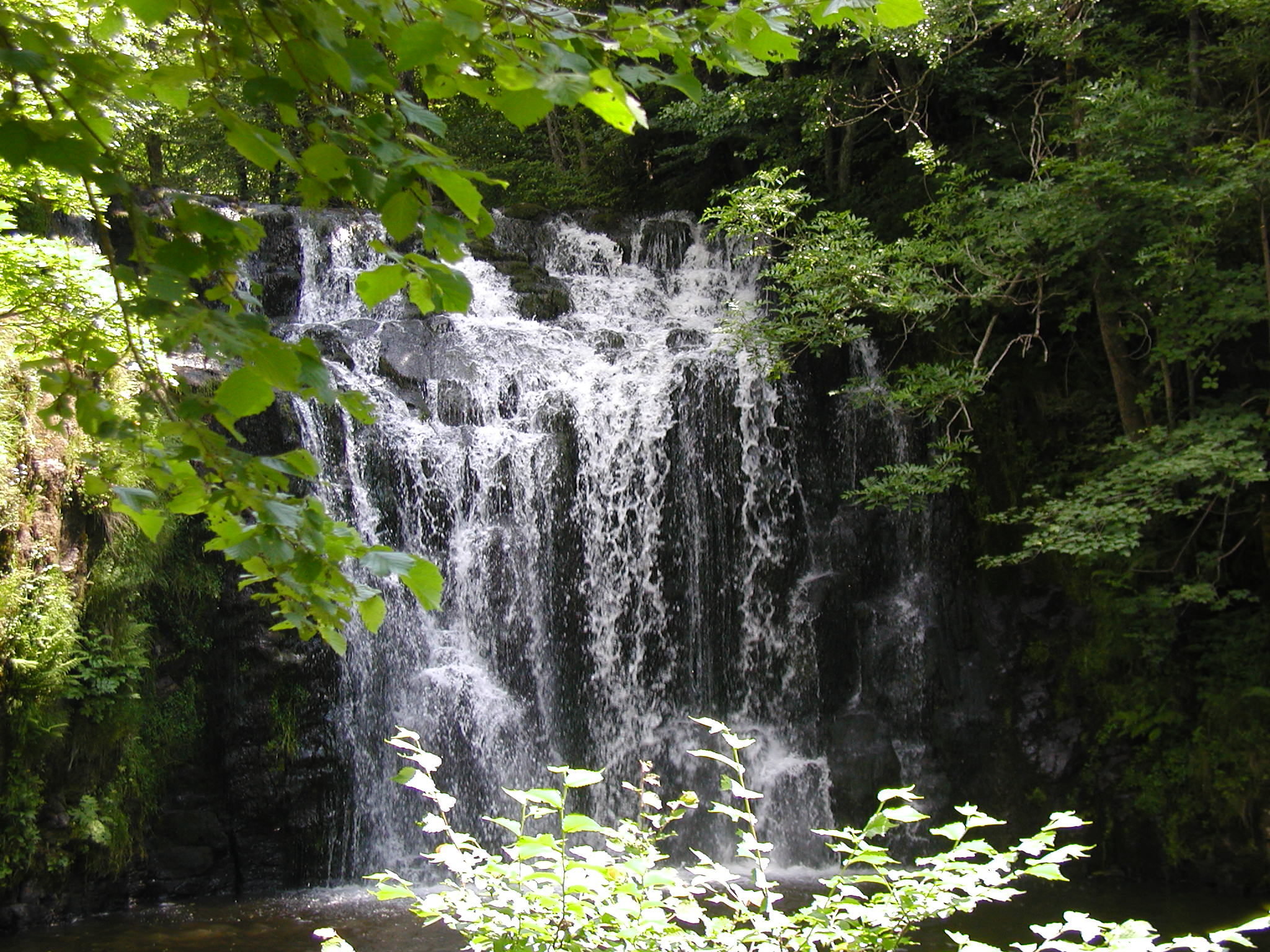 - image: 24