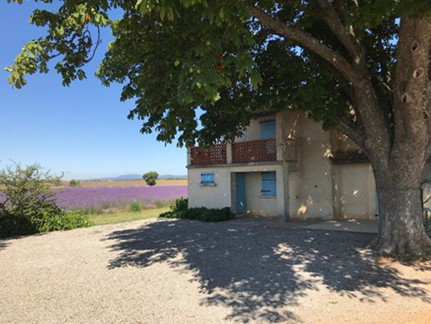 Nature house in Valensole