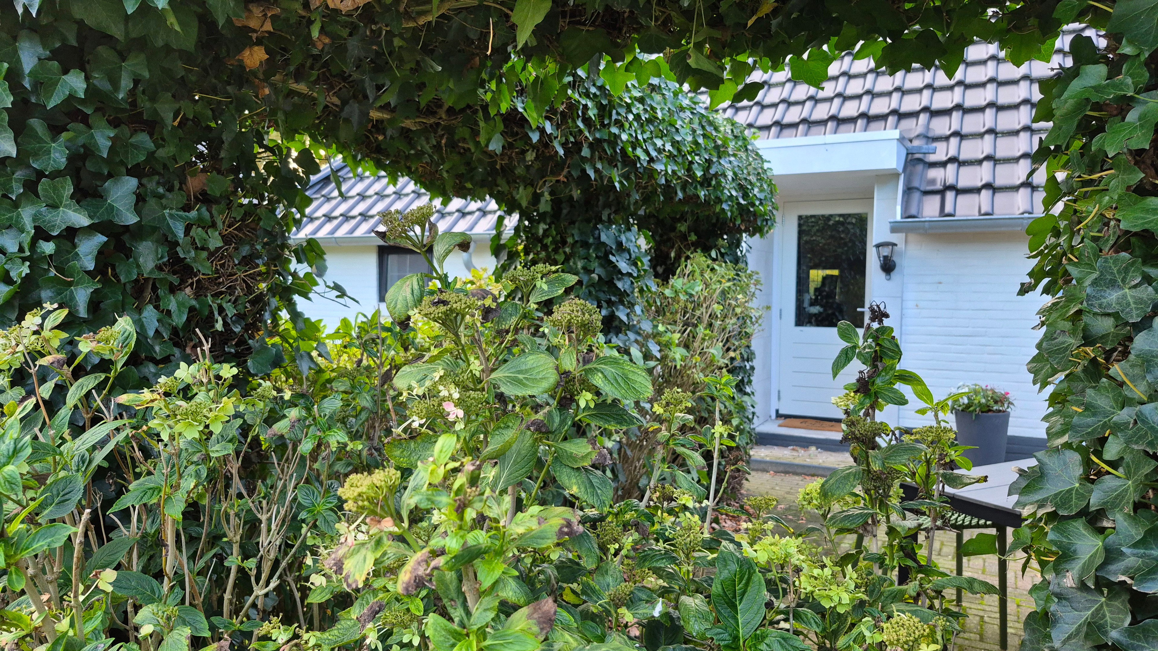 Natuurhuisje in Dalerveen