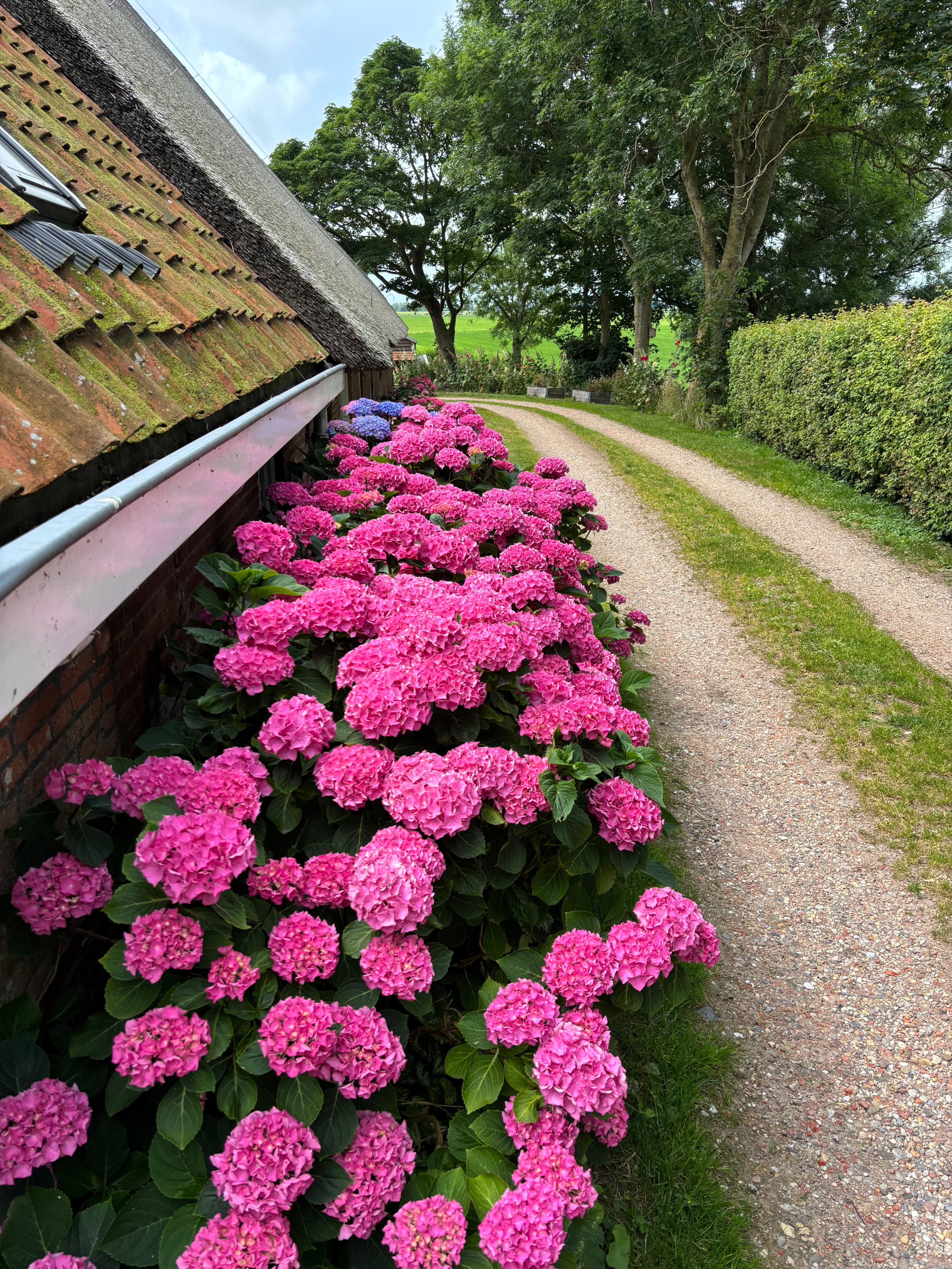 Natuurhuisje in Jannum