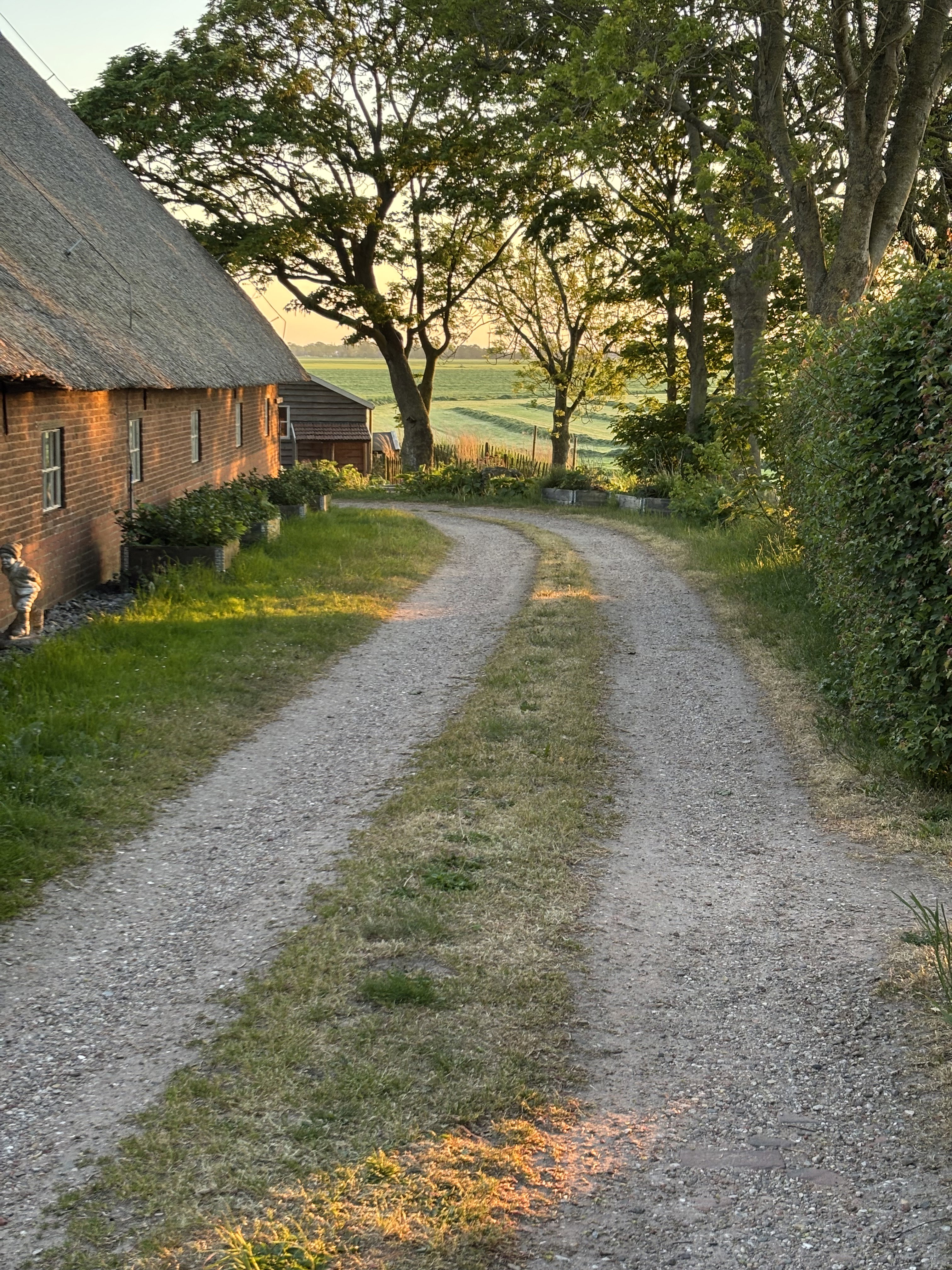 - image: 28
