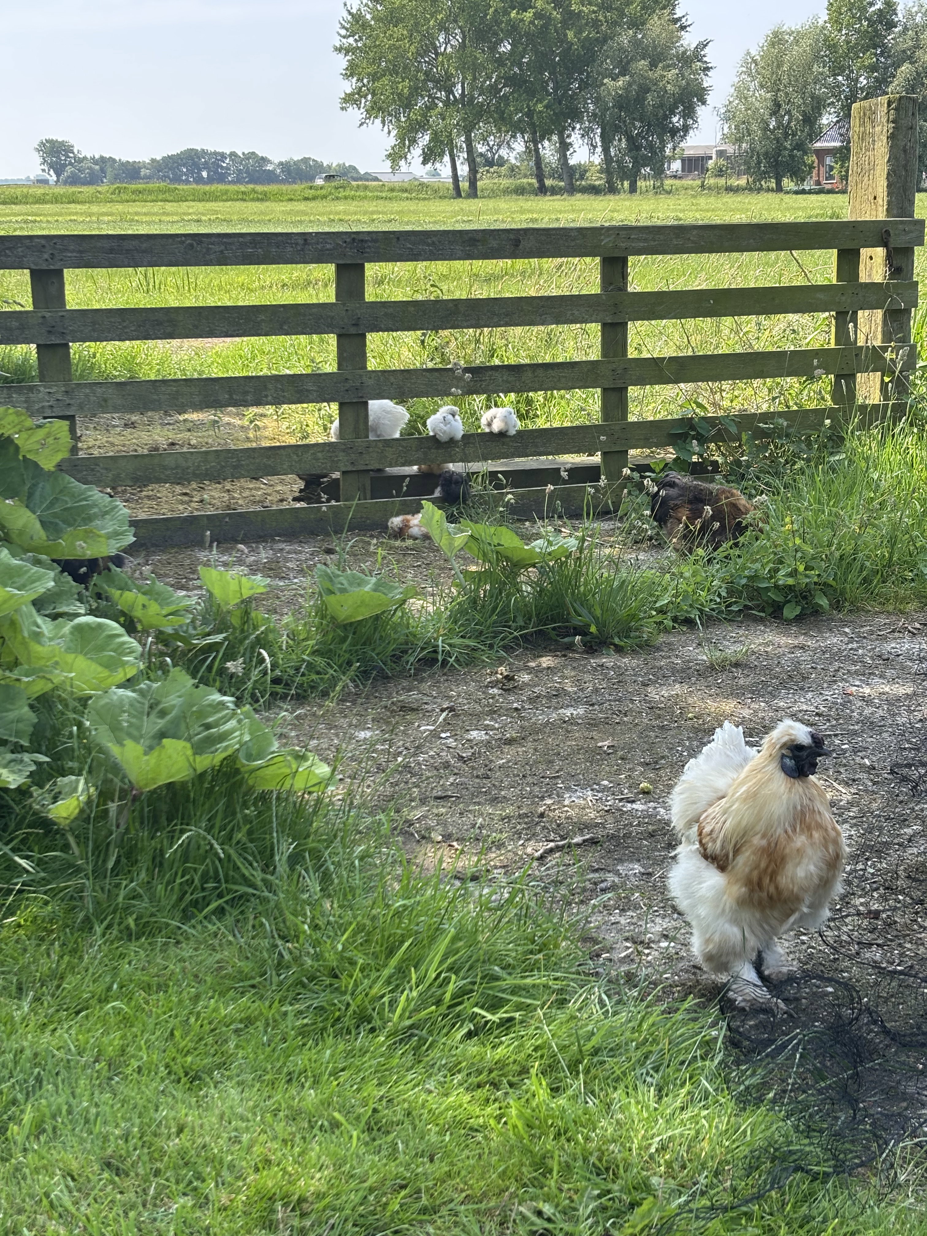 Natuurhuisje in Jannum