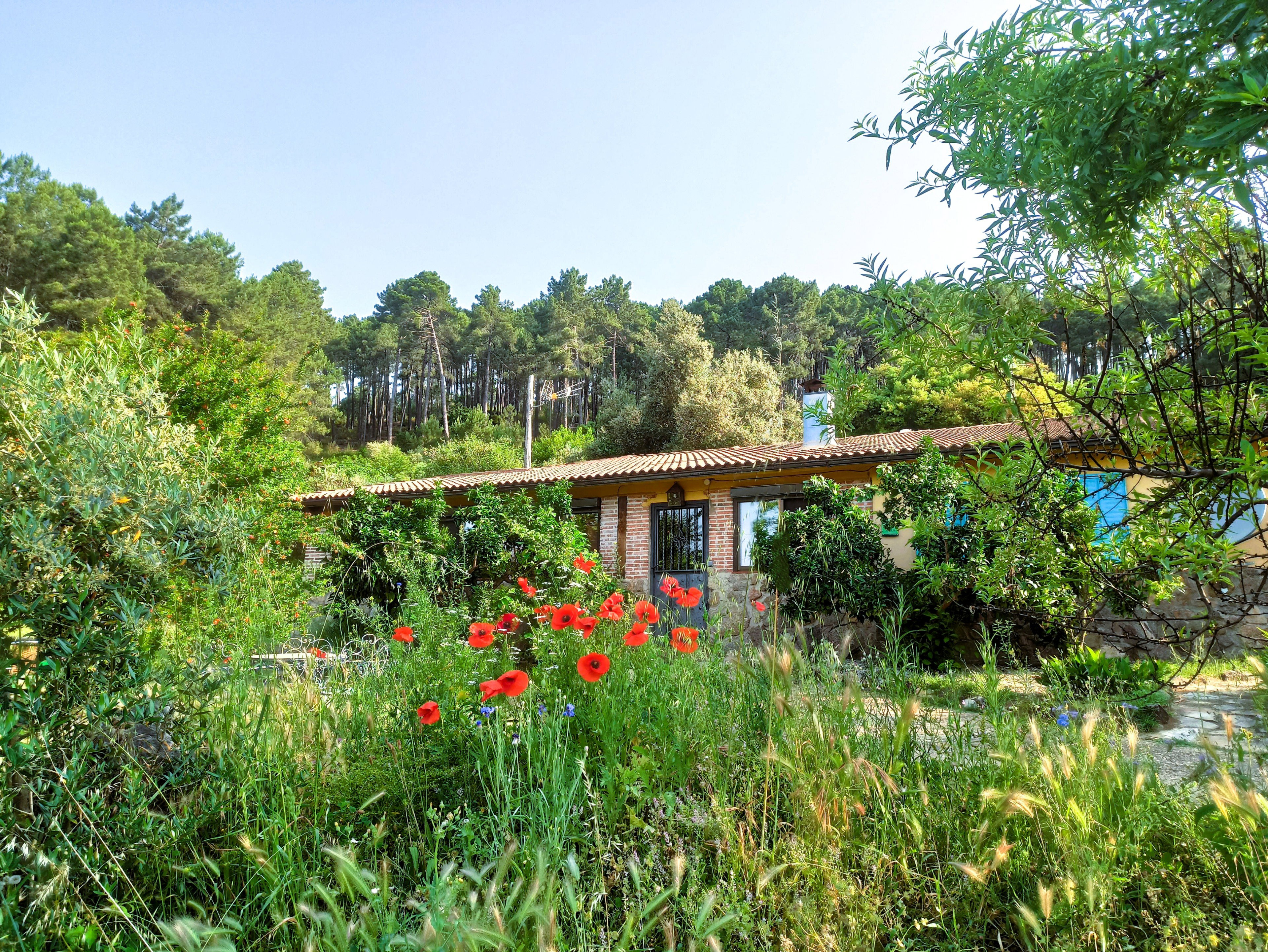 Casa nella natura a Arenas de San Pedro