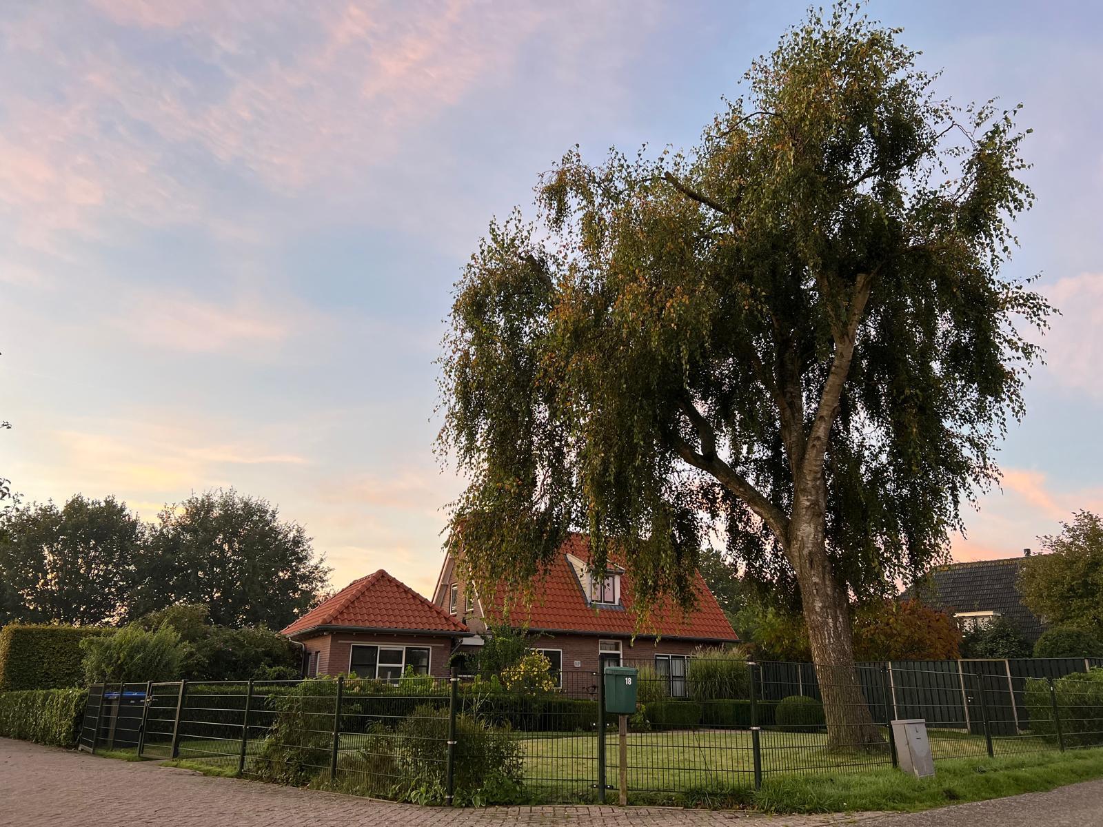 Natuurhuisje in Wapenveld