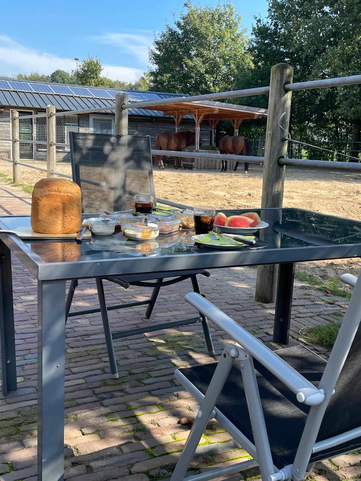 Natuurhuisje in Wapenveld