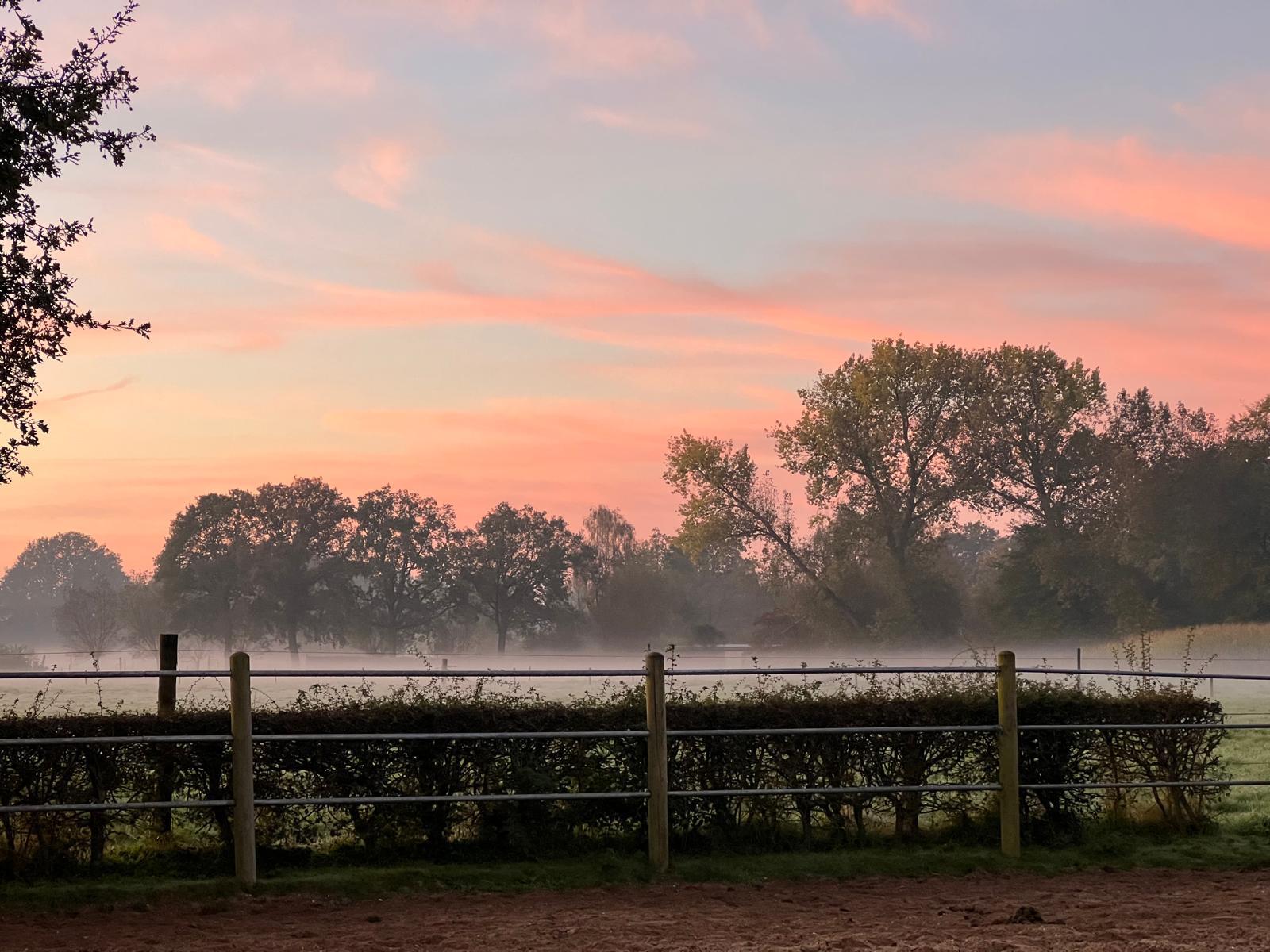 Natuurhuisje in Wapenveld