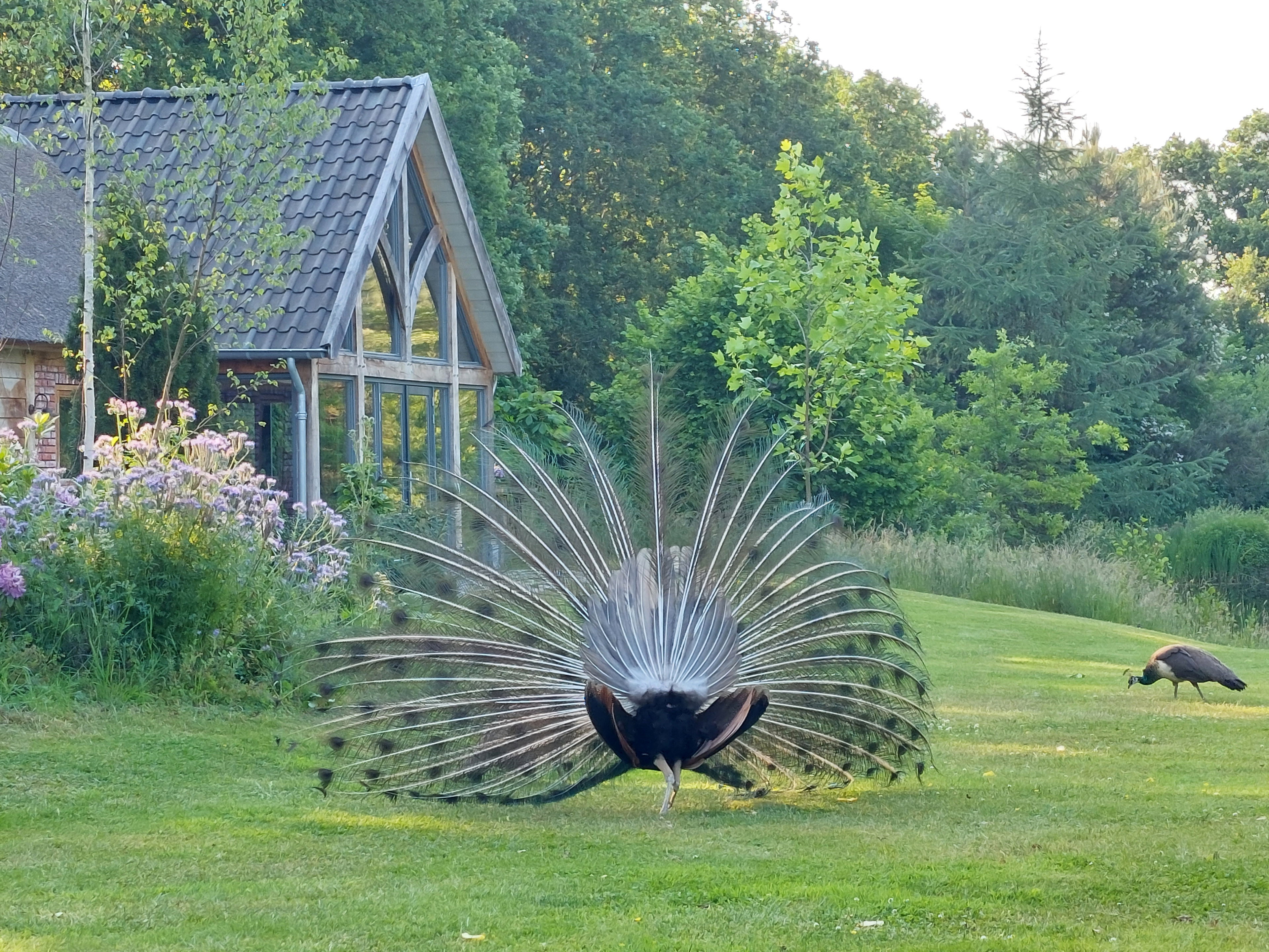 Nature house in Tonden