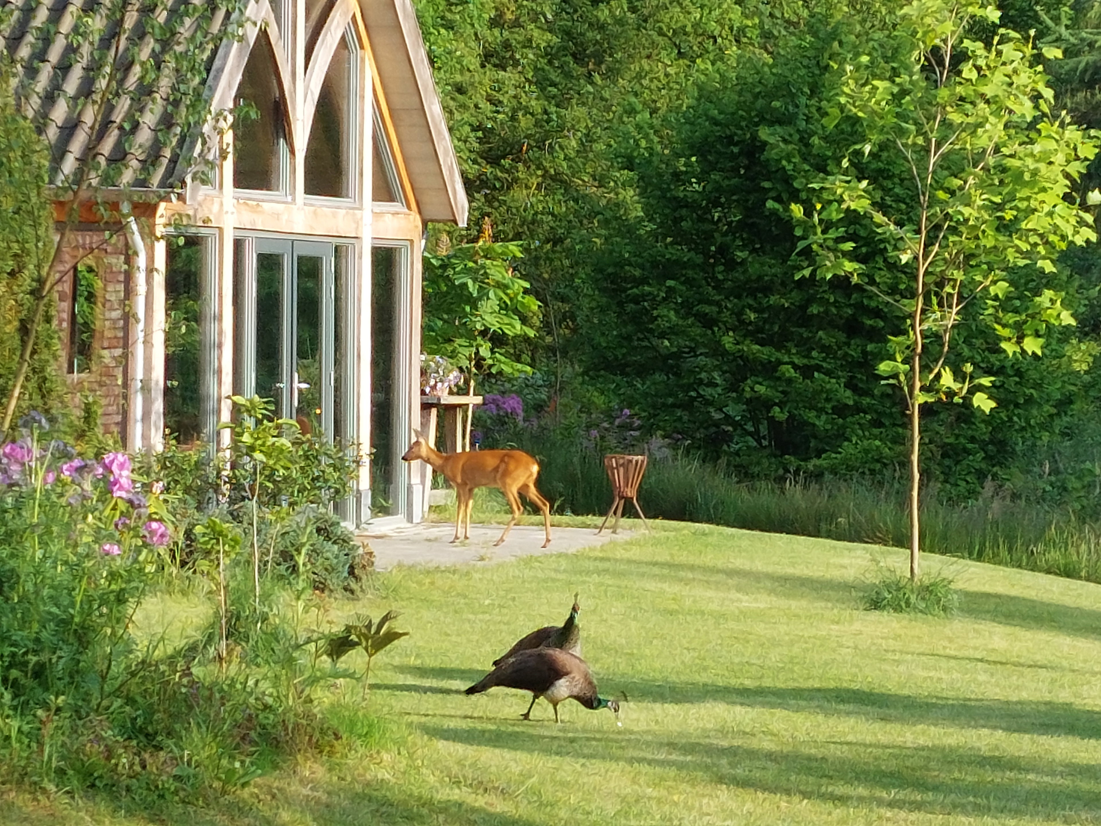 Nature house in Tonden