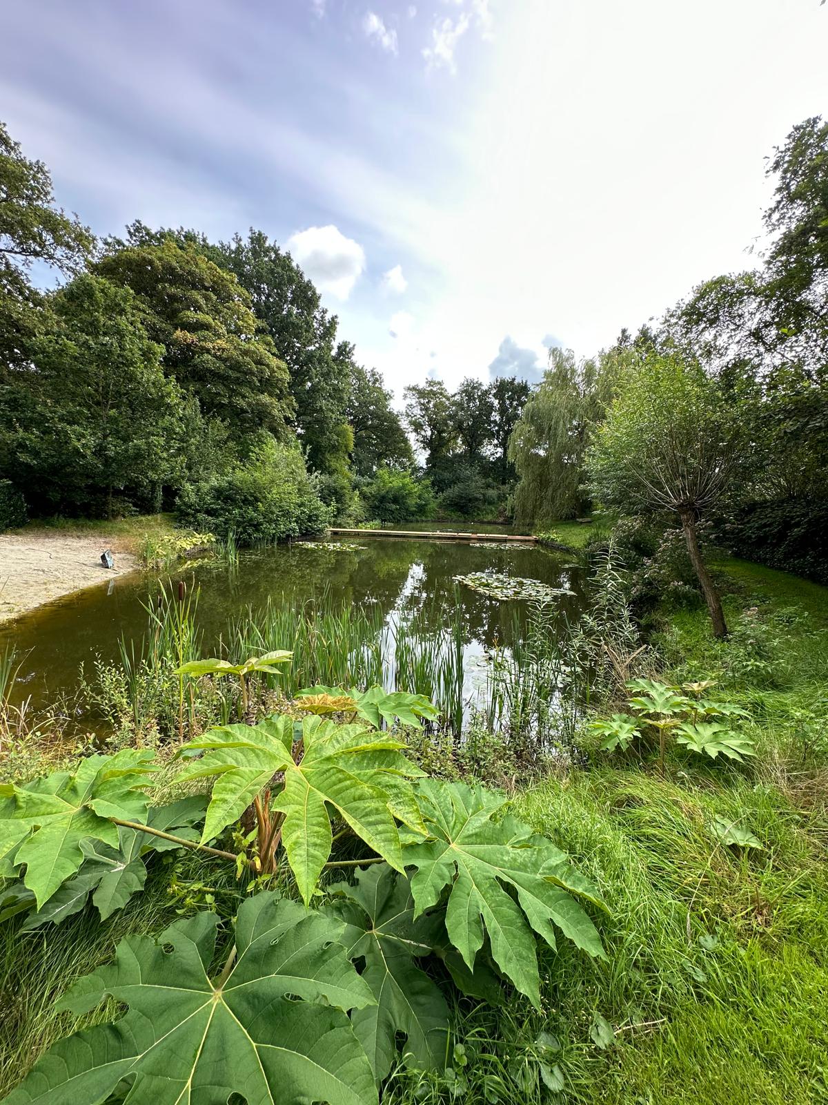 Casa nella natura a Ringe