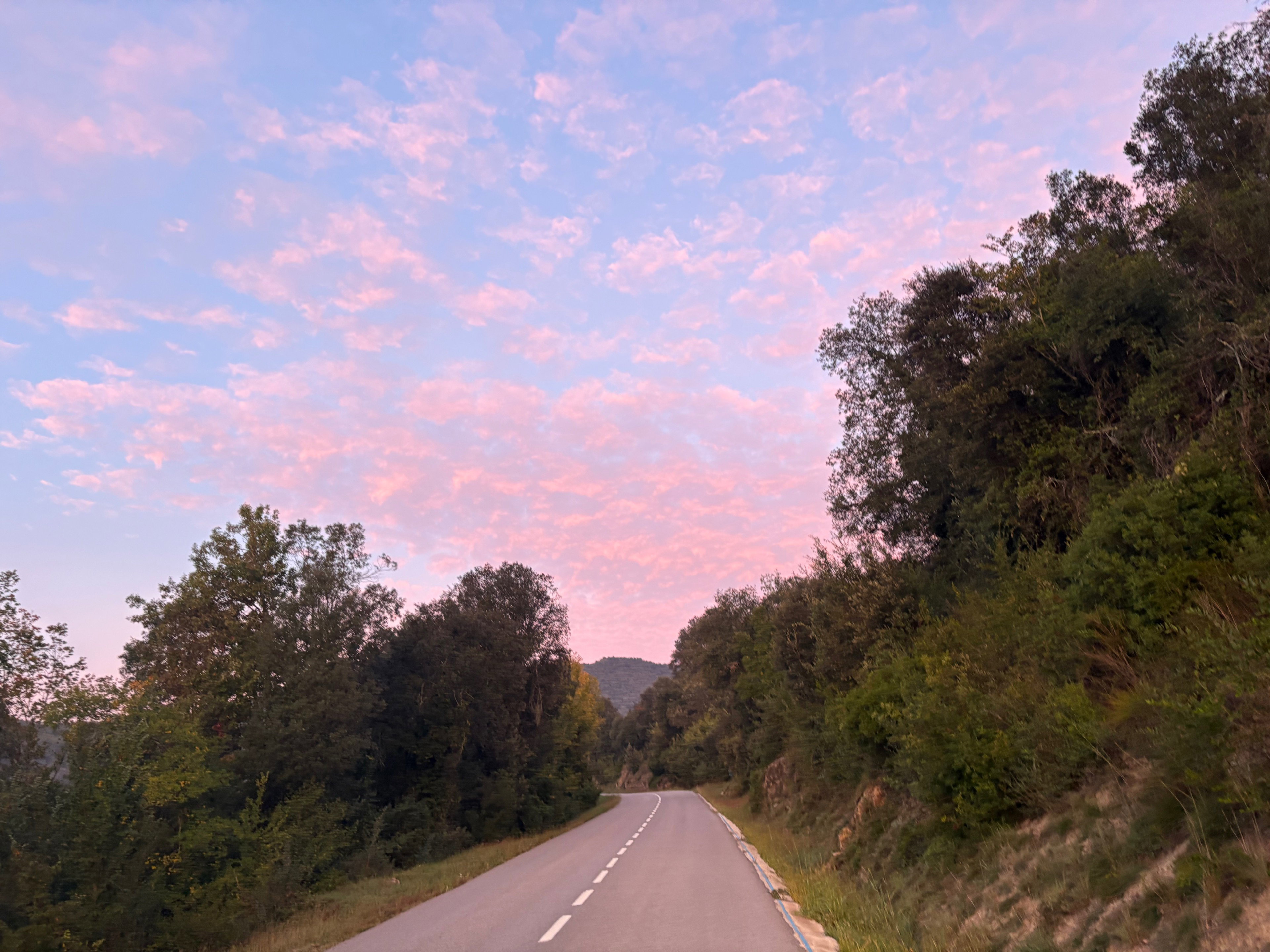 - image: 5