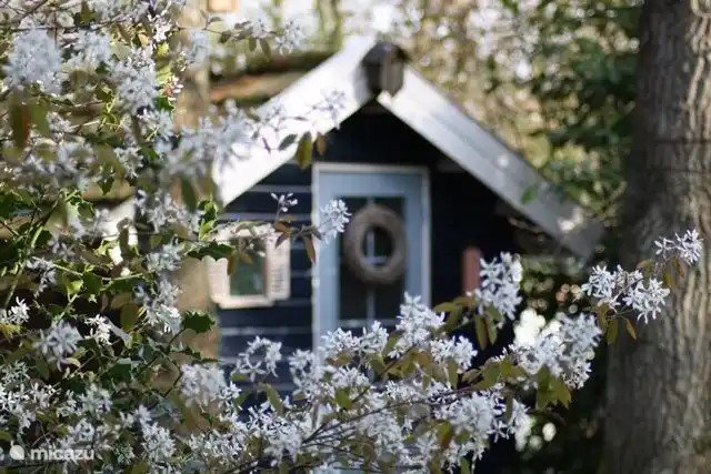 Casa nella natura a Beerze