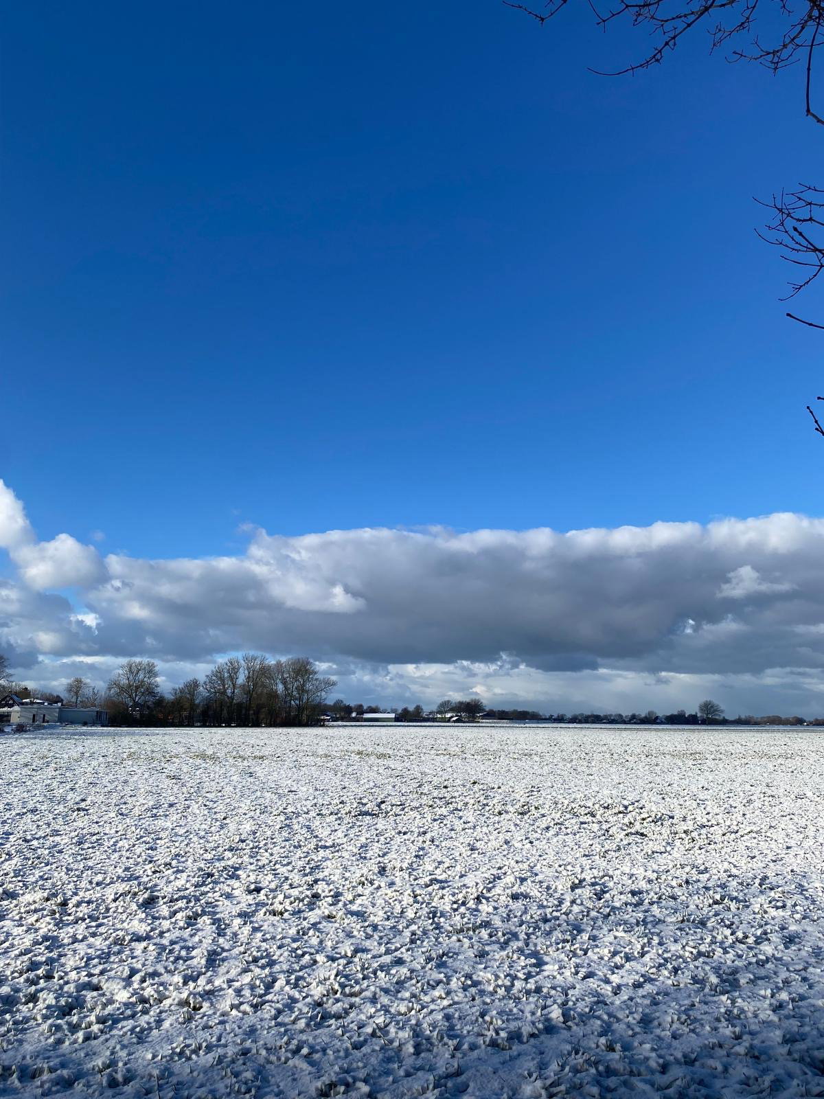 Naturhäuschen in Dirkshorn