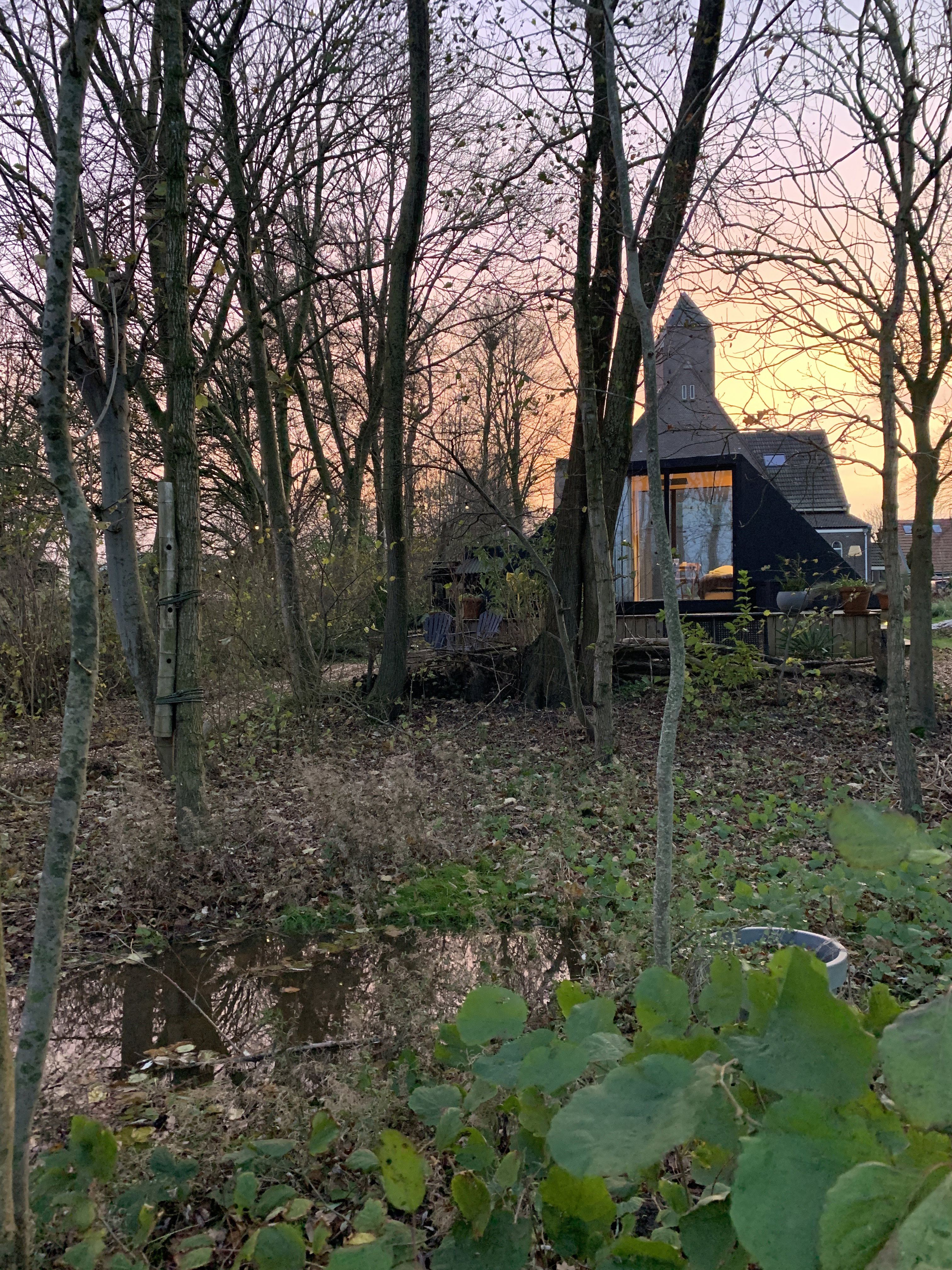 Natuurhuisje in Dirkshorn