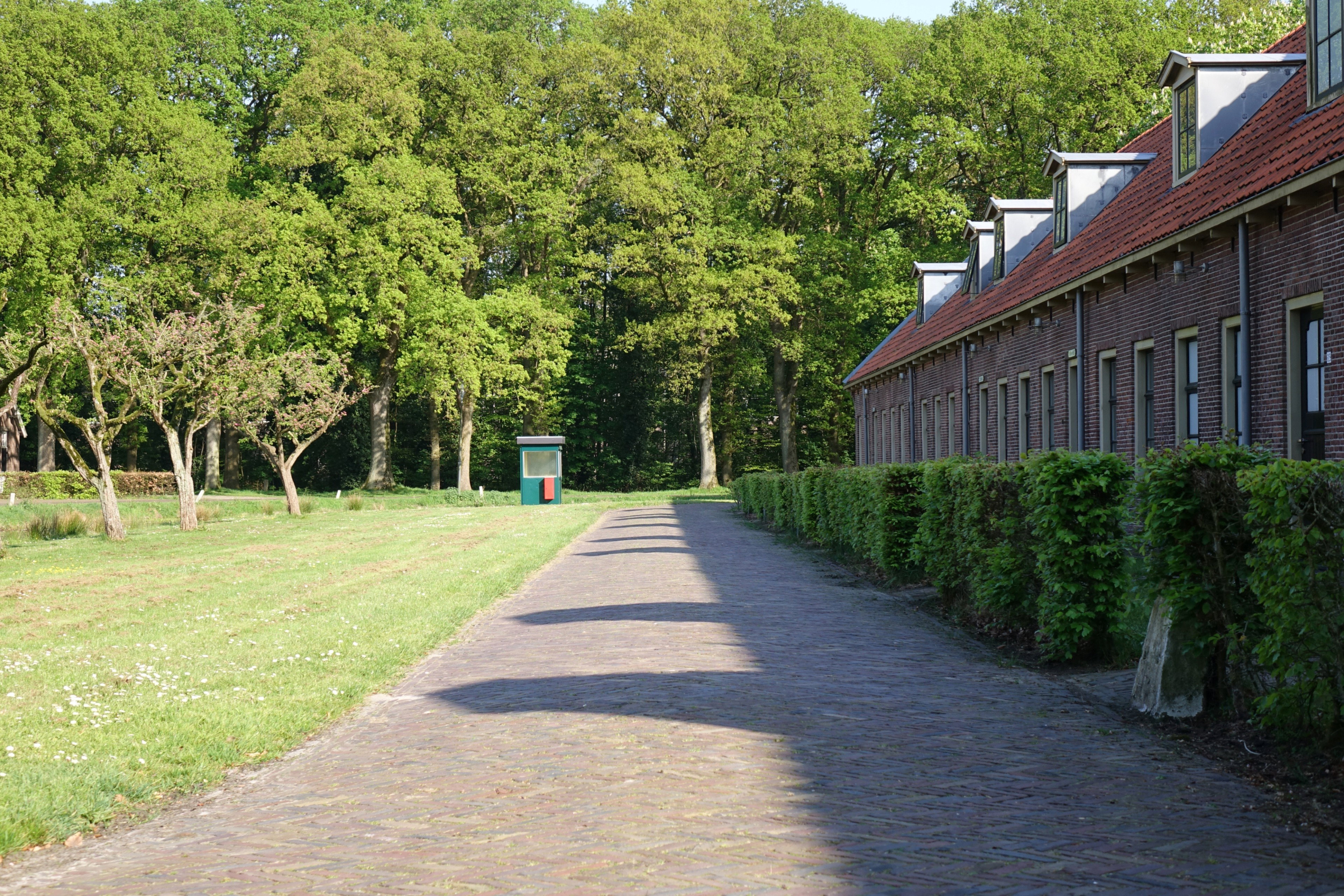 - image: 14