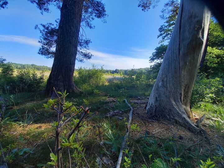 Natuurhuisje in Norg