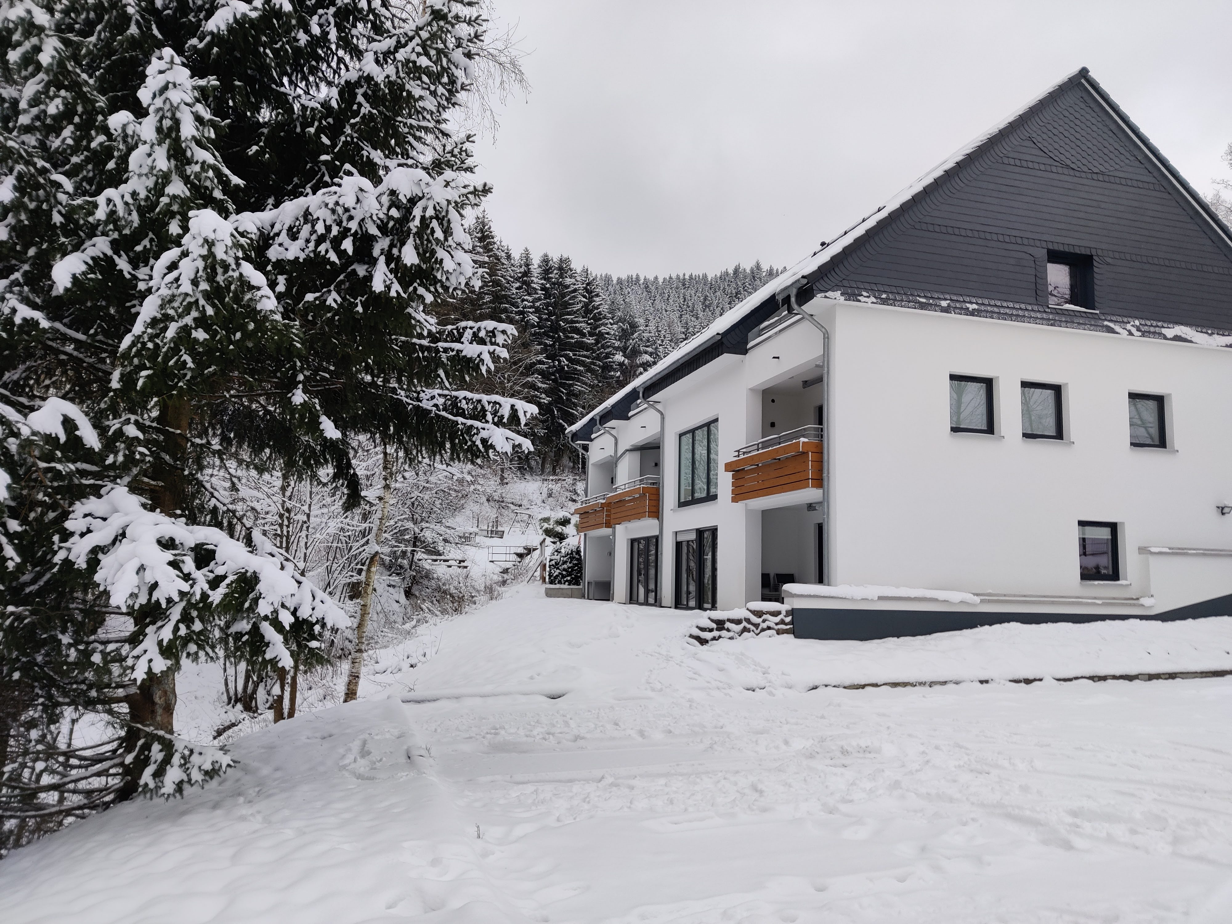 Natuurhuisje in Olsberg-Elpe